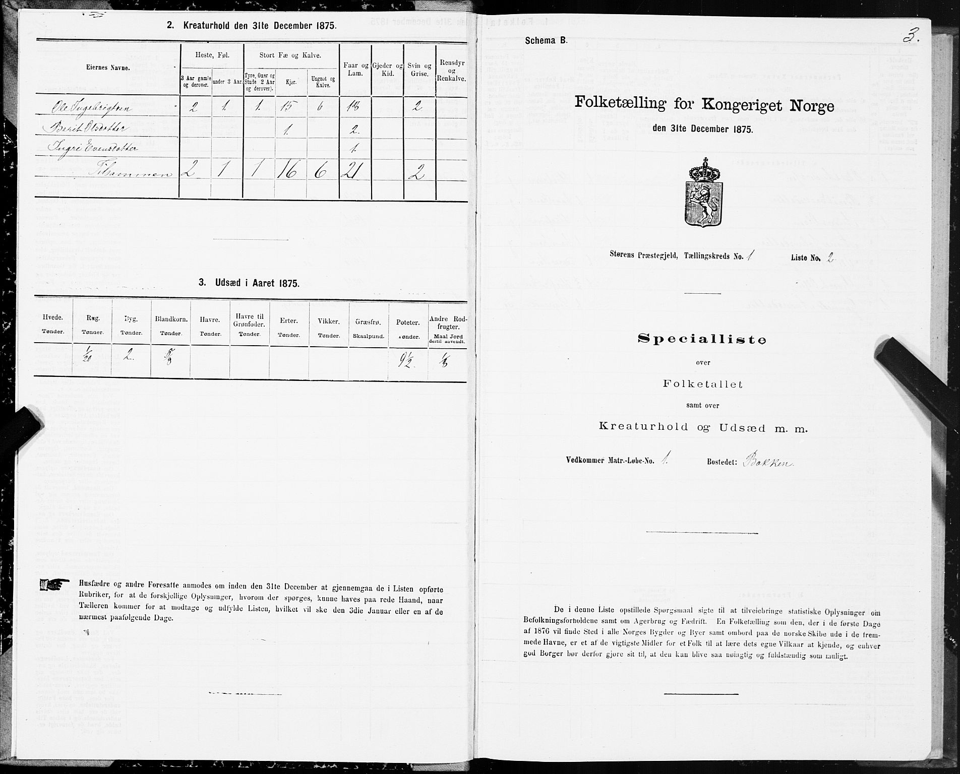 SAT, 1875 census for 1648P Støren, 1875, p. 7003