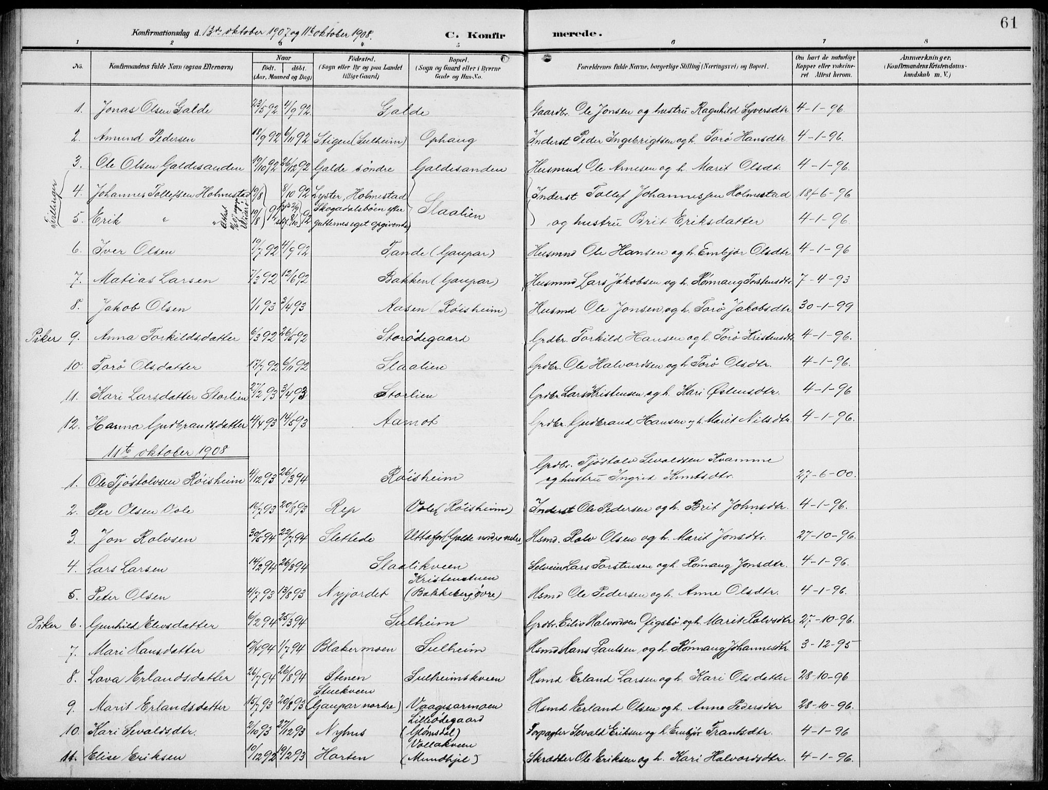 Lom prestekontor, SAH/PREST-070/L/L0007: Parish register (copy) no. 7, 1904-1938, p. 61