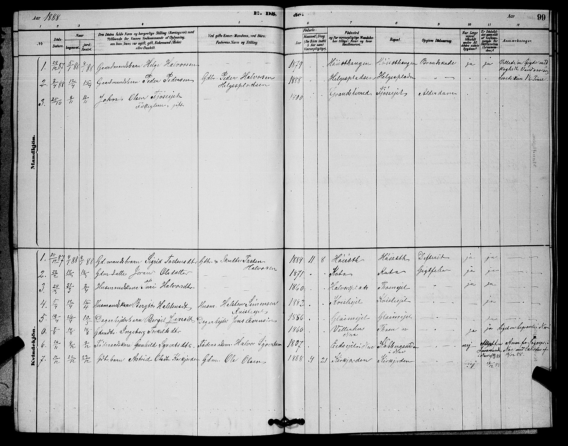 Rollag kirkebøker, SAKO/A-240/G/Gb/L0002: Parish register (copy) no. II 2, 1878-1898, p. 99