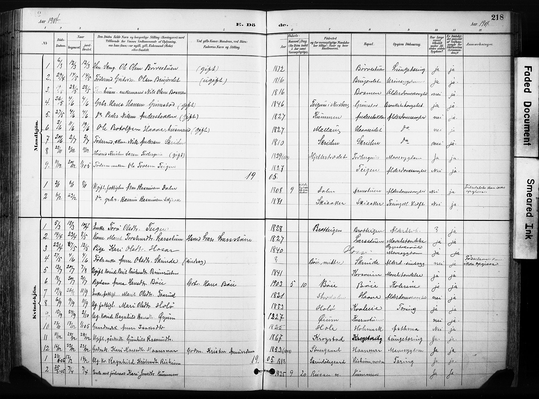 Skjåk prestekontor, AV/SAH-PREST-072/H/Ha/Hab/L0003: Parish register (copy) no. 3, 1893-1932, p. 218