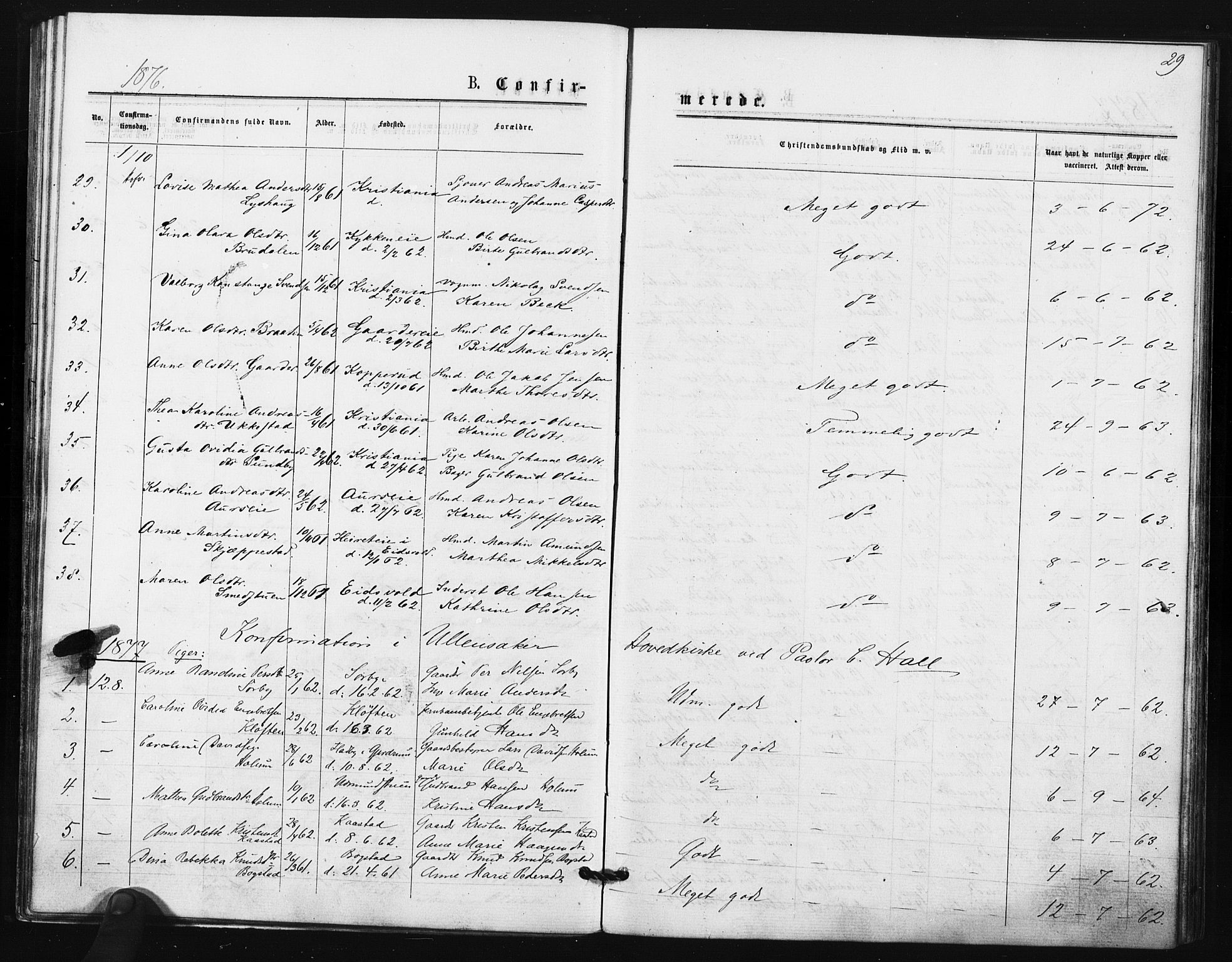 Ullensaker prestekontor Kirkebøker, SAO/A-10236a/F/Fa/L0018: Parish register (official) no. I 18, 1876-1877, p. 29