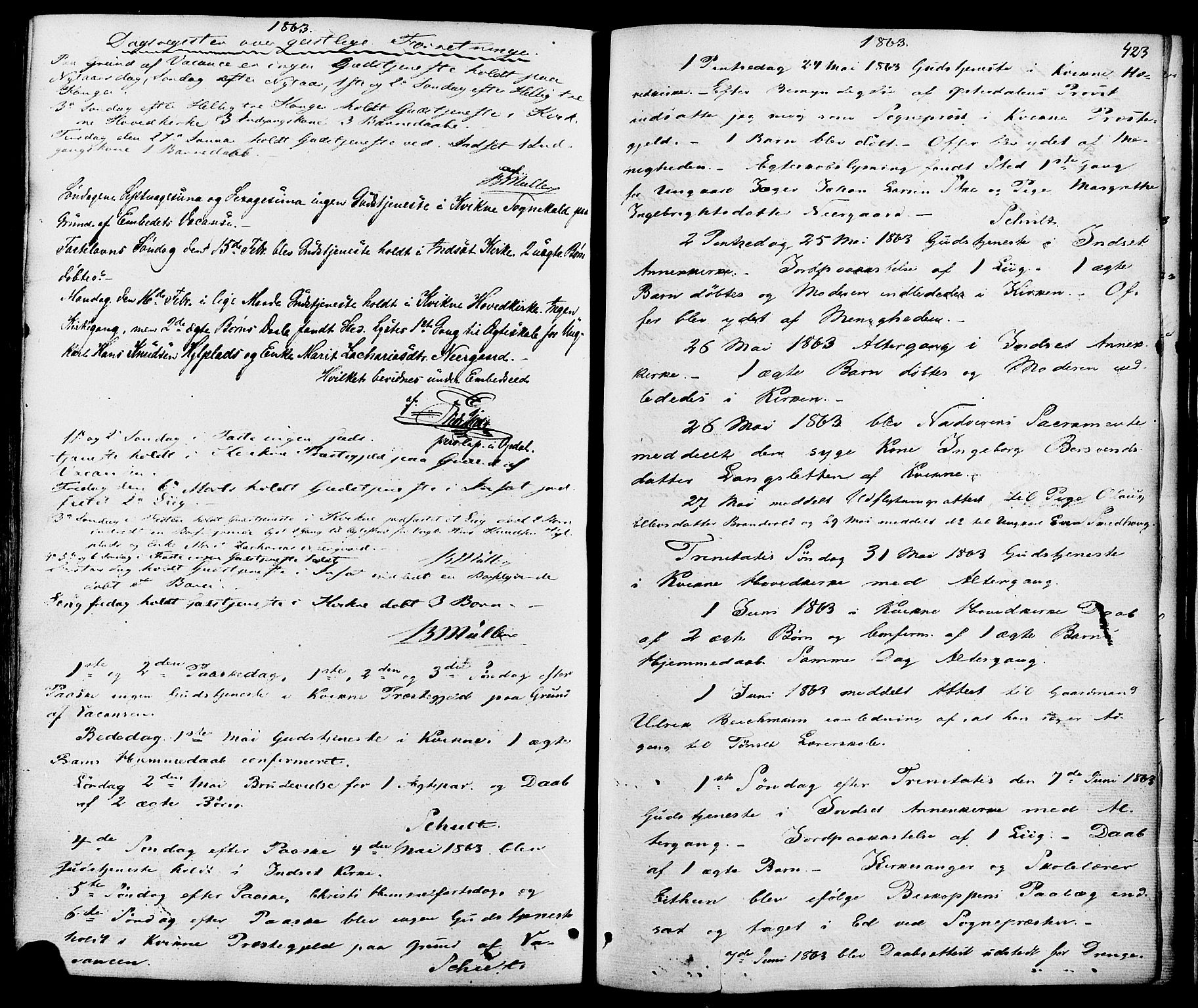 Kvikne prestekontor, AV/SAH-PREST-064/H/Ha/Haa/L0006: Parish register (official) no. 6, 1863-1886, p. 423