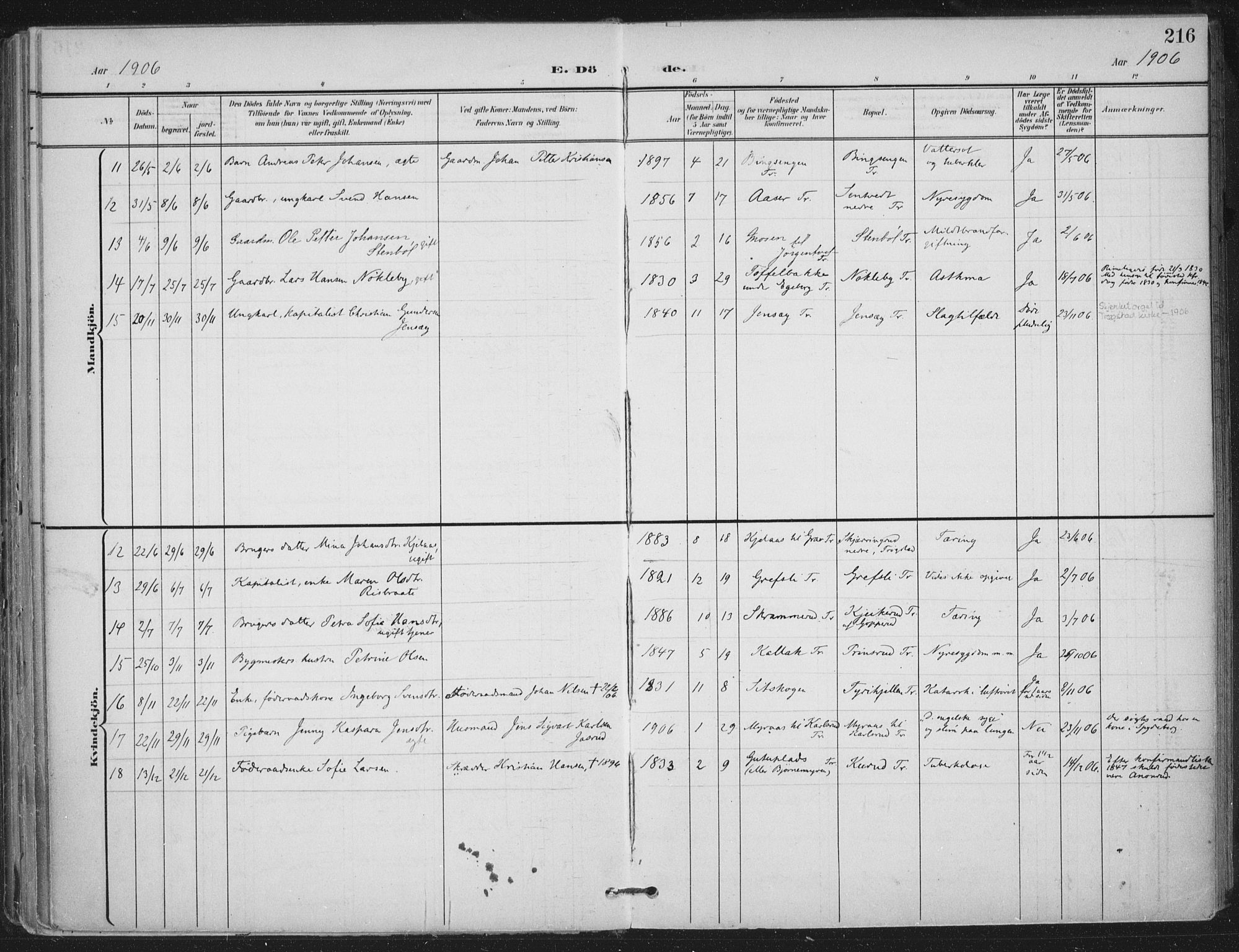 Trøgstad prestekontor Kirkebøker, AV/SAO-A-10925/F/Fa/L0011: Parish register (official) no. I 11, 1899-1919, p. 216