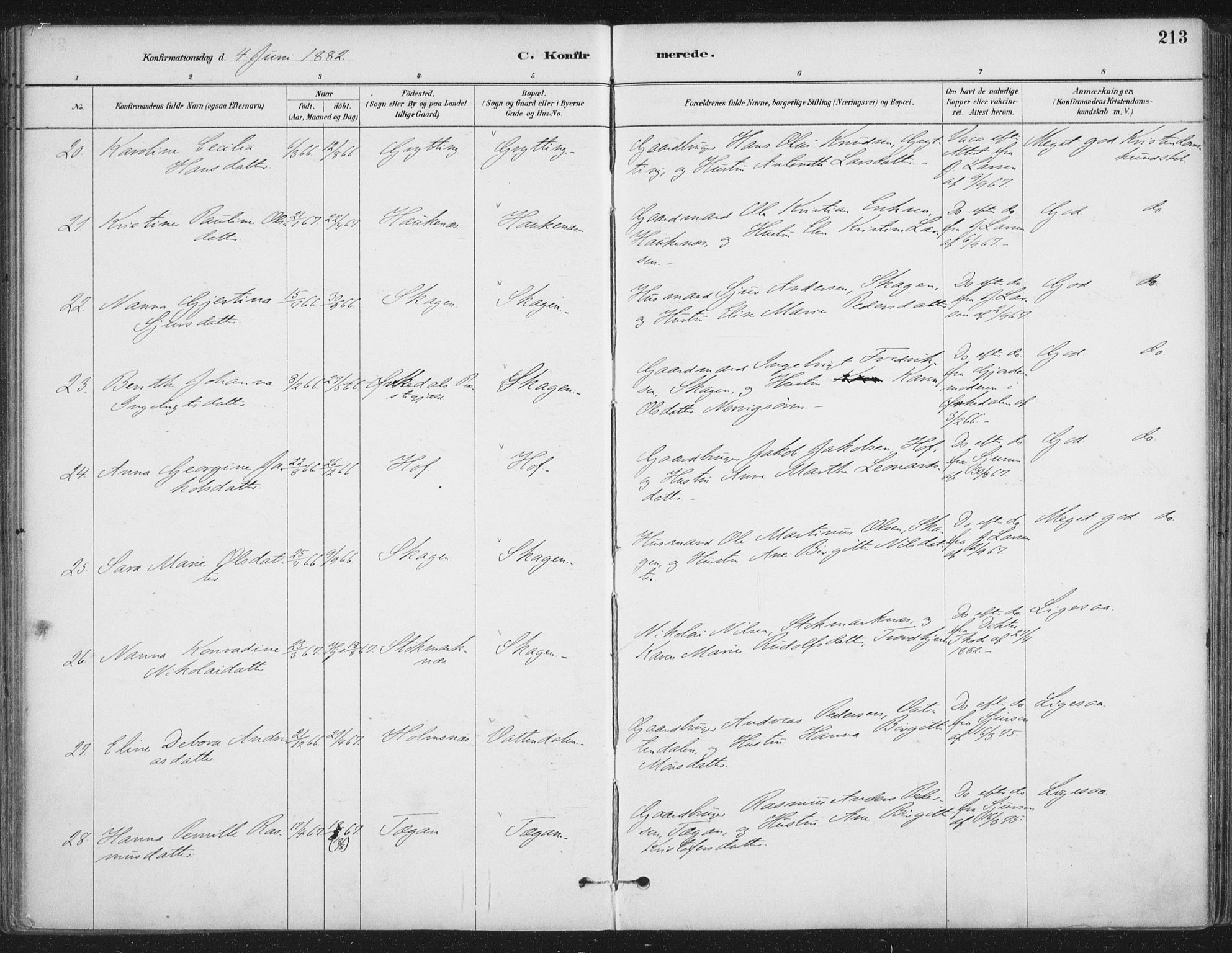 Ministerialprotokoller, klokkerbøker og fødselsregistre - Nordland, AV/SAT-A-1459/888/L1244: Parish register (official) no. 888A10, 1880-1890, p. 213