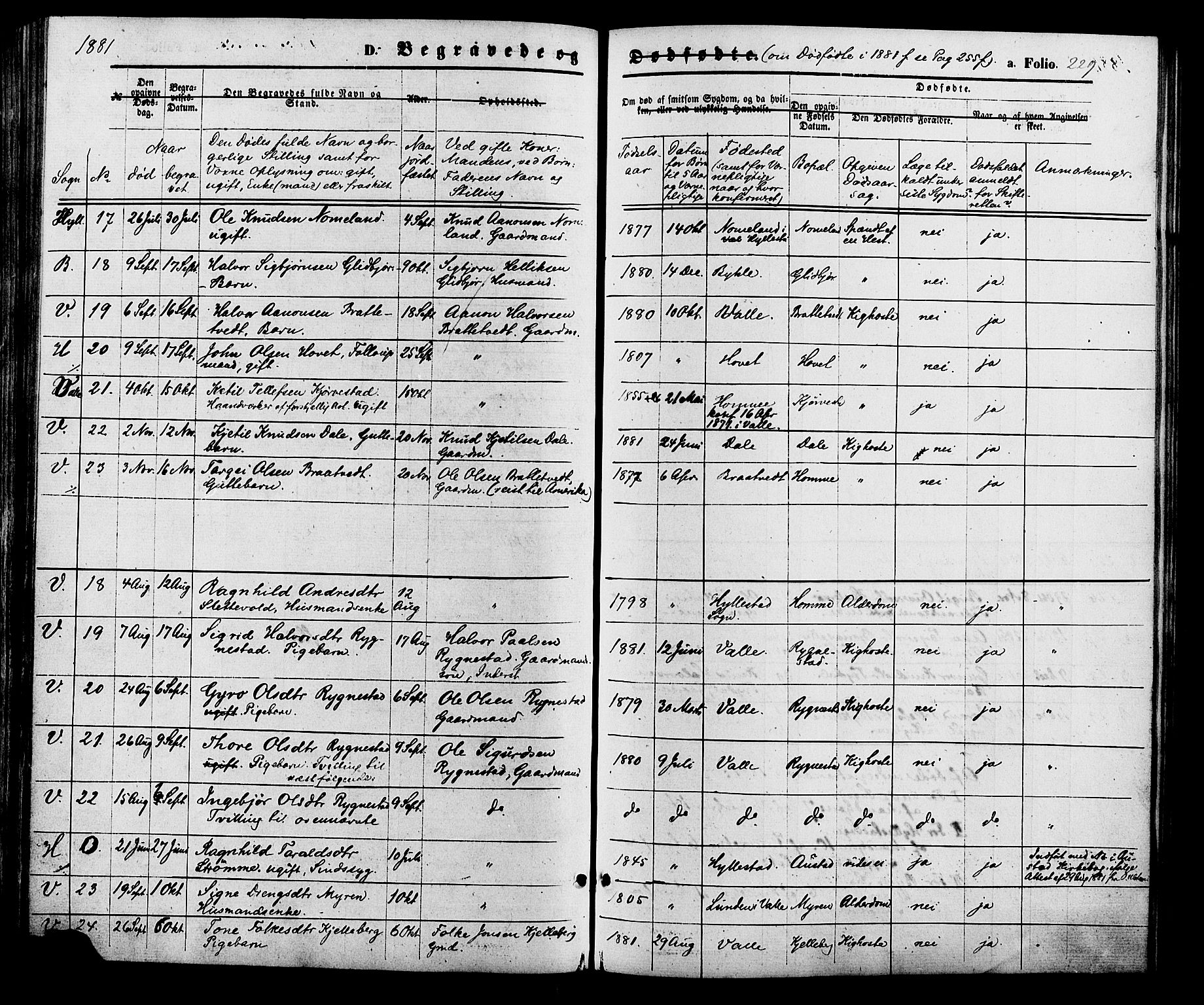 Valle sokneprestkontor, AV/SAK-1111-0044/F/Fa/Fac/L0008: Parish register (official) no. A 8, 1868-1882, p. 229