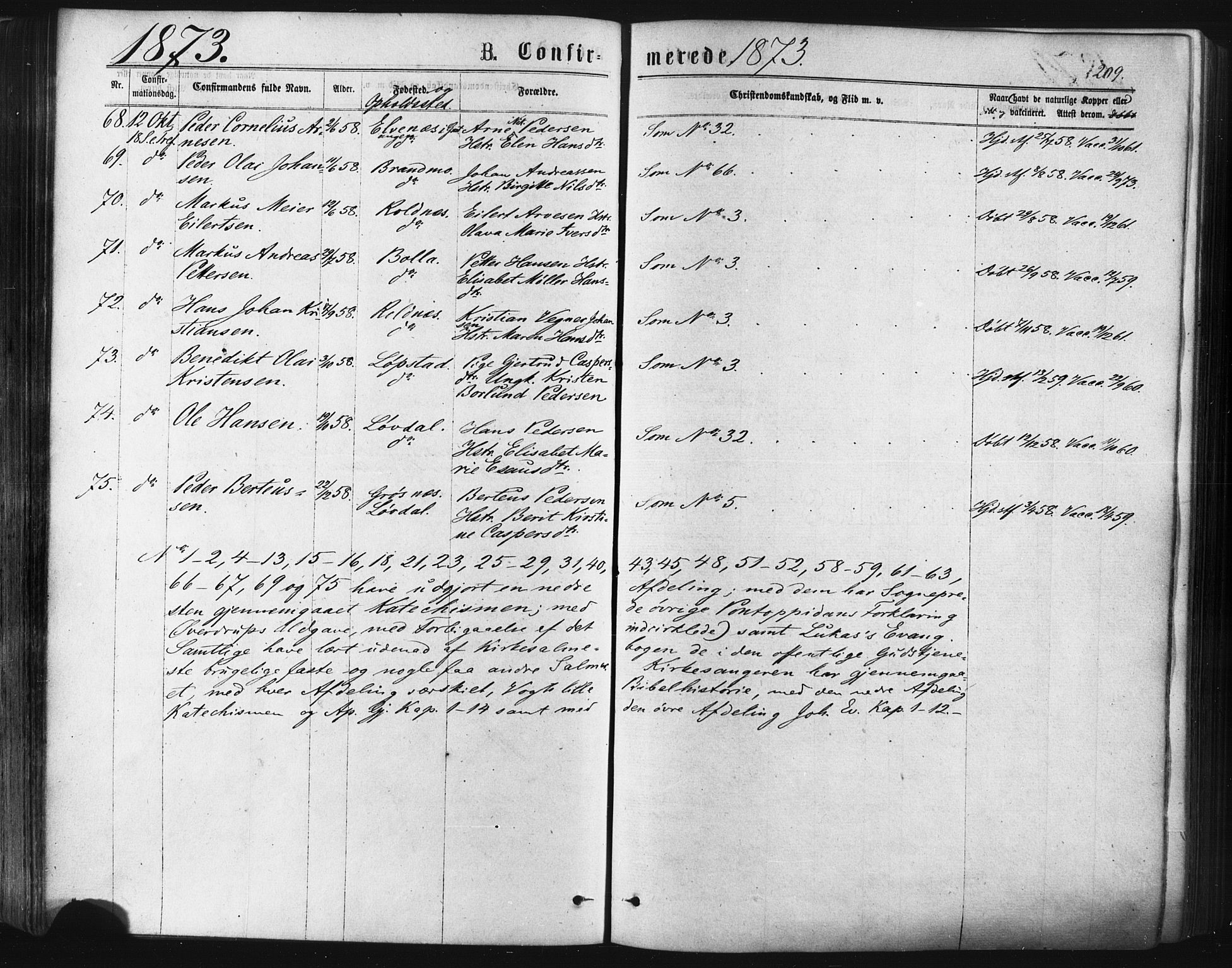 Ibestad sokneprestembete, SATØ/S-0077/H/Ha/Haa/L0010kirke: Parish register (official) no. 10, 1869-1879, p. 209