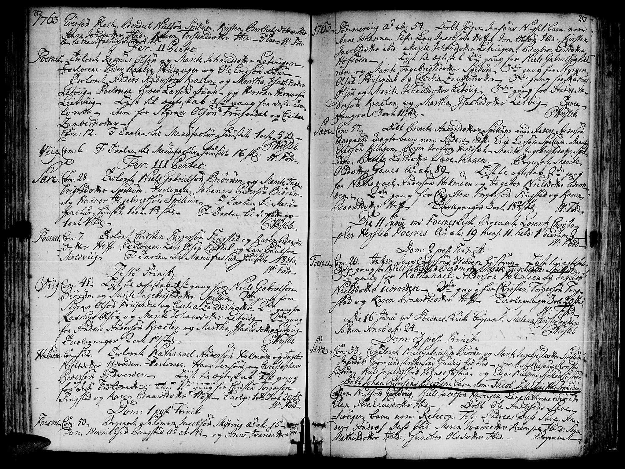 Ministerialprotokoller, klokkerbøker og fødselsregistre - Nord-Trøndelag, SAT/A-1458/773/L0607: Parish register (official) no. 773A01, 1751-1783, p. 252-253