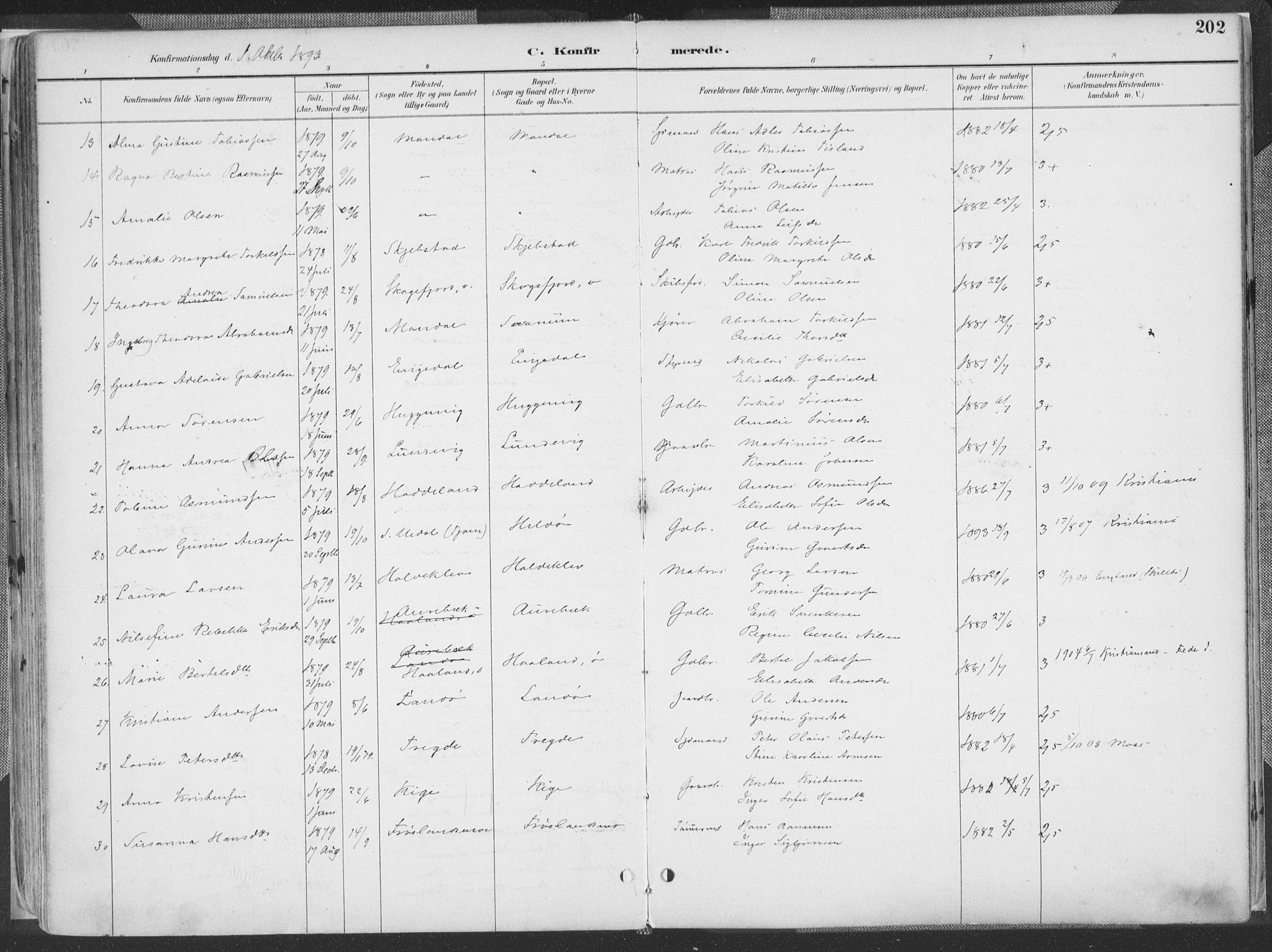 Mandal sokneprestkontor, AV/SAK-1111-0030/F/Fa/Faa/L0018: Parish register (official) no. A 18, 1890-1905, p. 202