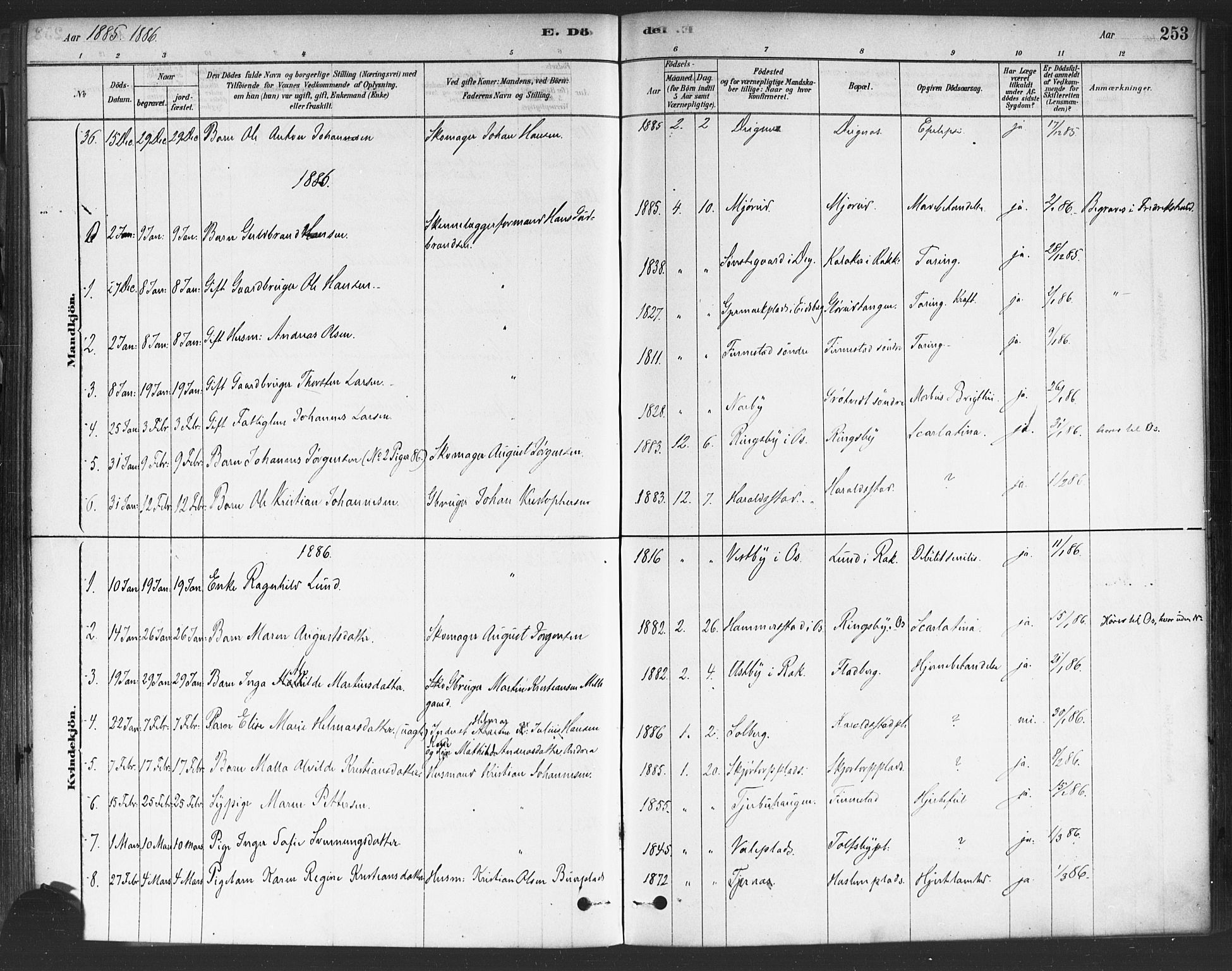 Rakkestad prestekontor Kirkebøker, AV/SAO-A-2008/F/Fa/L0012: Parish register (official) no. I 12, 1878-1893, p. 253