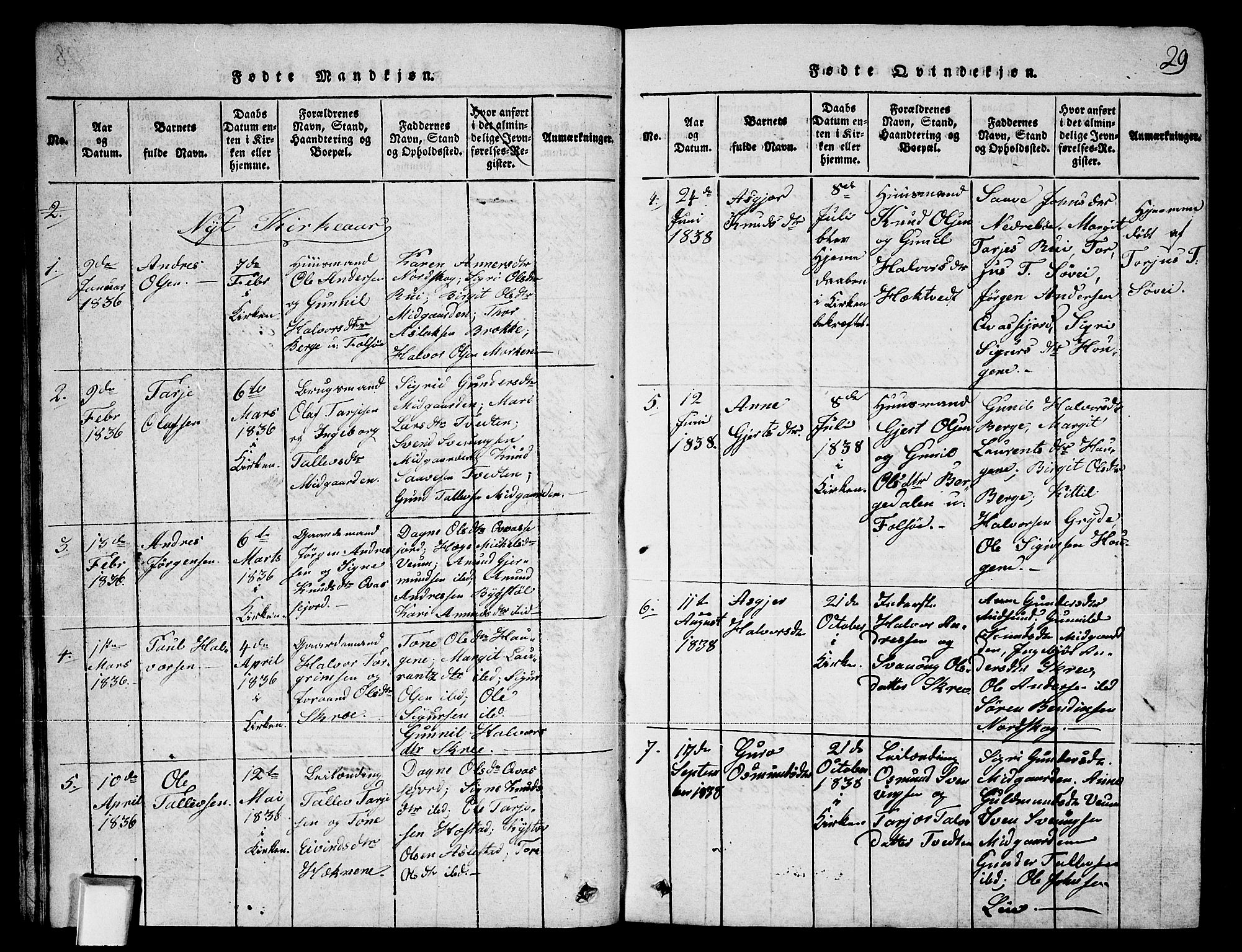 Fyresdal kirkebøker, SAKO/A-263/G/Ga/L0003: Parish register (copy) no. I 3, 1815-1863, p. 29