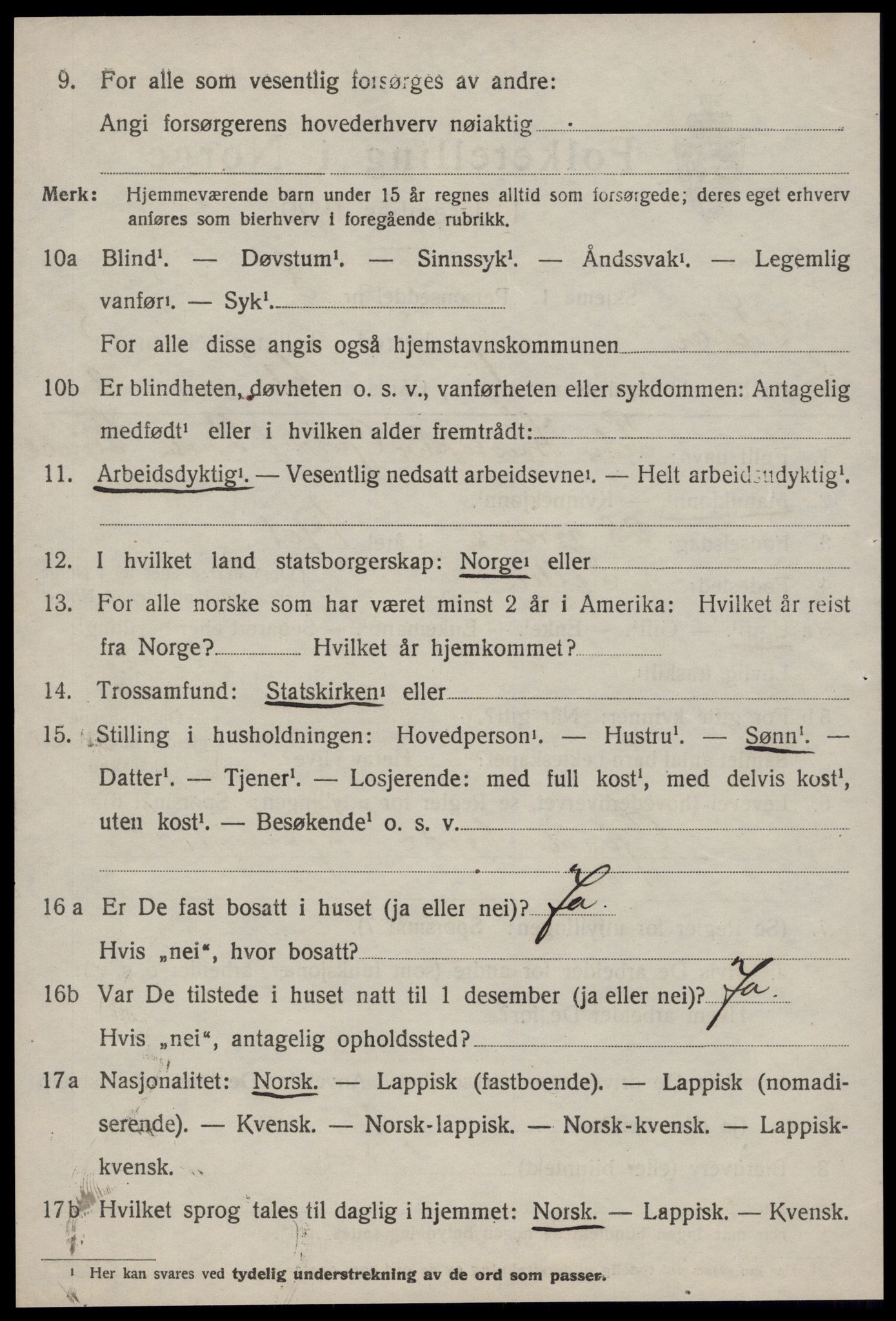 SAT, 1920 census for Selbu, 1920, p. 4433