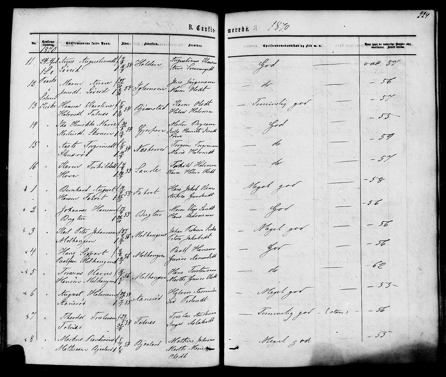 Solum kirkebøker, SAKO/A-306/F/Fa/L0008: Parish register (official) no. I 8, 1865-1876, p. 224