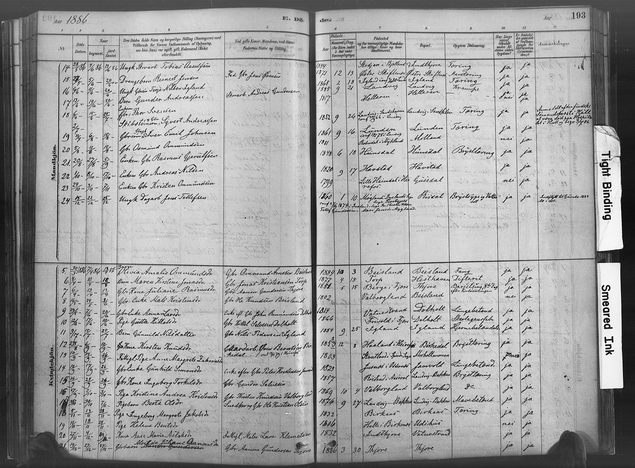 Hommedal sokneprestkontor, SAK/1111-0023/F/Fa/Fab/L0006: Parish register (official) no. A 6, 1878-1897, p. 193