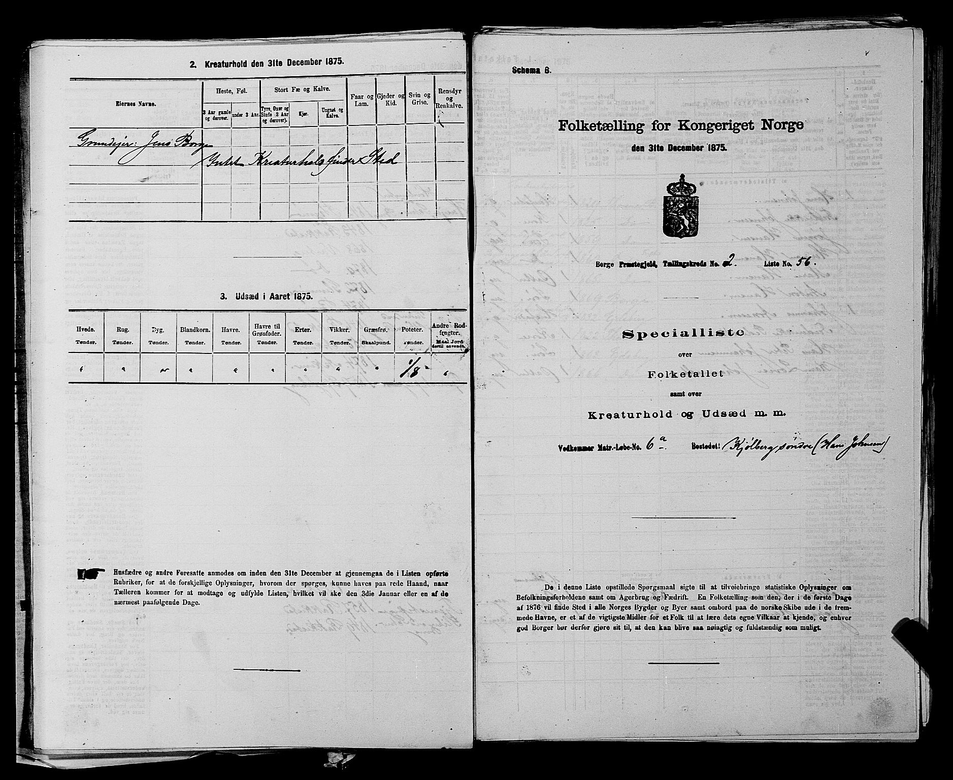 RA, 1875 census for 0113P Borge, 1875, p. 232