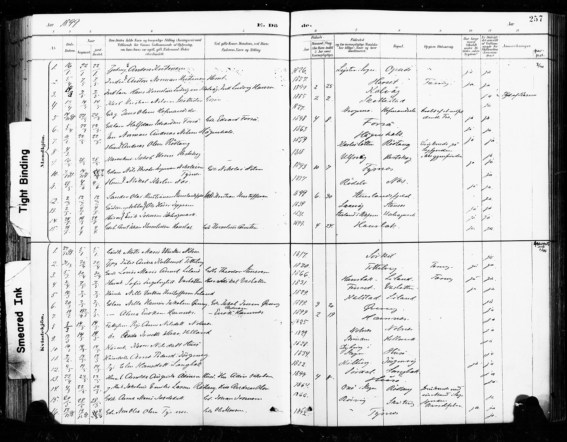 Ministerialprotokoller, klokkerbøker og fødselsregistre - Nordland, AV/SAT-A-1459/859/L0847: Parish register (official) no. 859A07, 1890-1899, p. 257