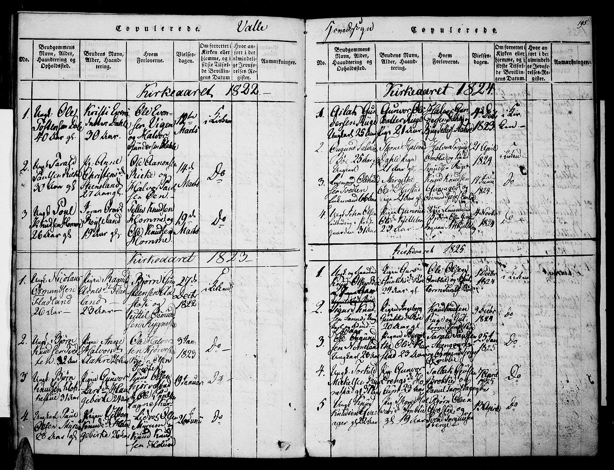 Valle sokneprestkontor, SAK/1111-0044/F/Fa/Fac/L0005: Parish register (official) no. A 5 /1, 1816-1831, p. 195