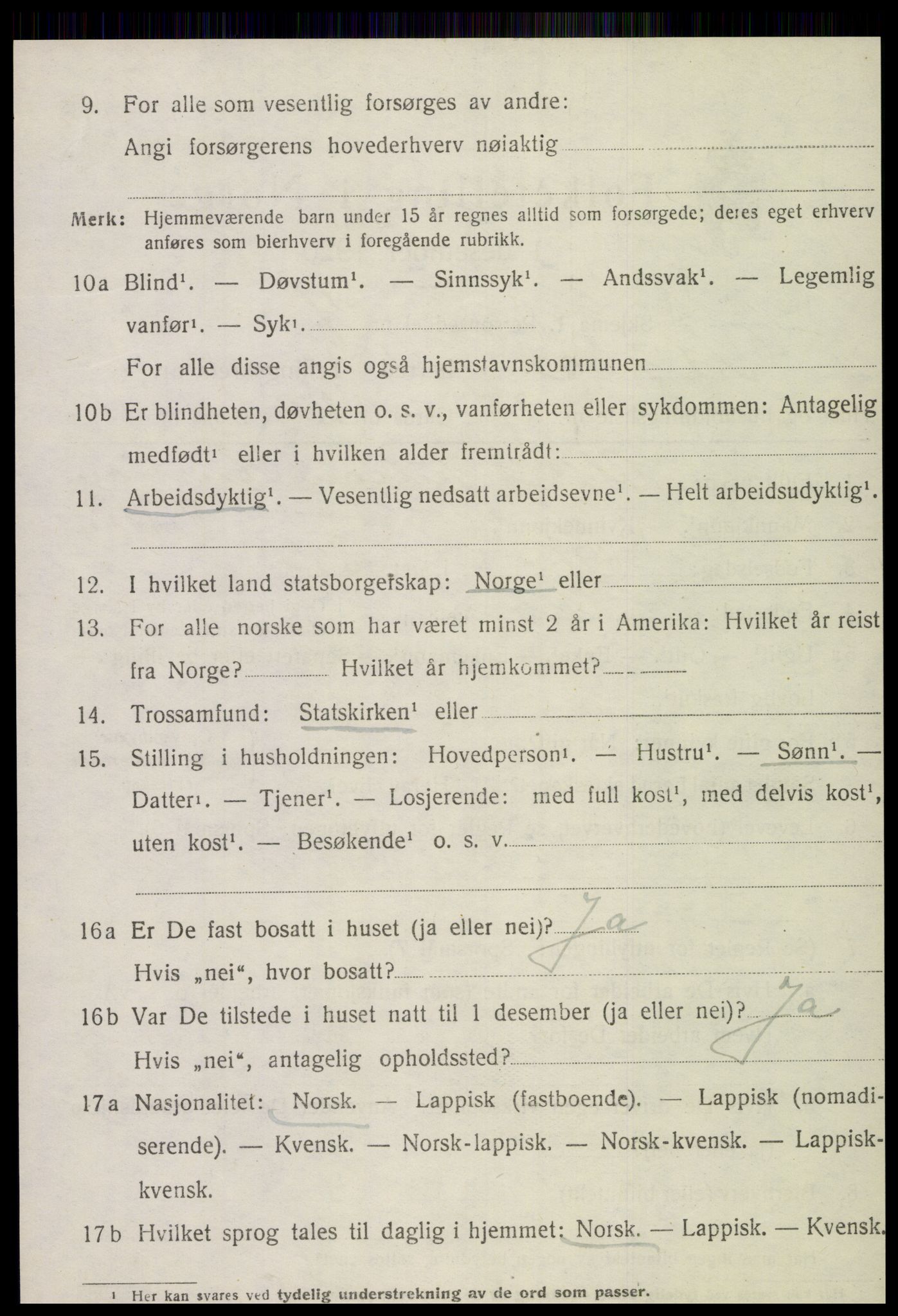 SAT, 1920 census for Røra, 1920, p. 690