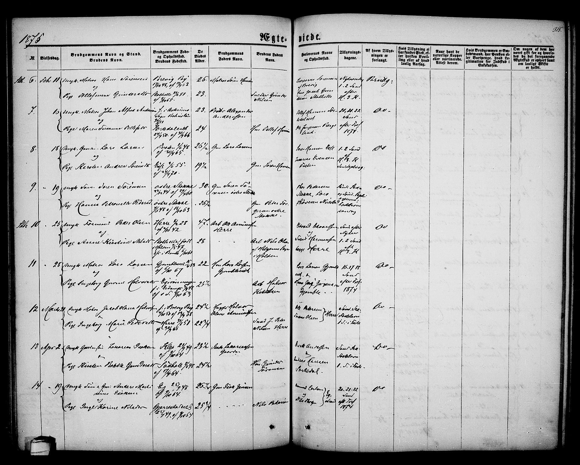 Bamble kirkebøker, AV/SAKO-A-253/G/Ga/L0006: Parish register (copy) no. I 6, 1860-1876, p. 315