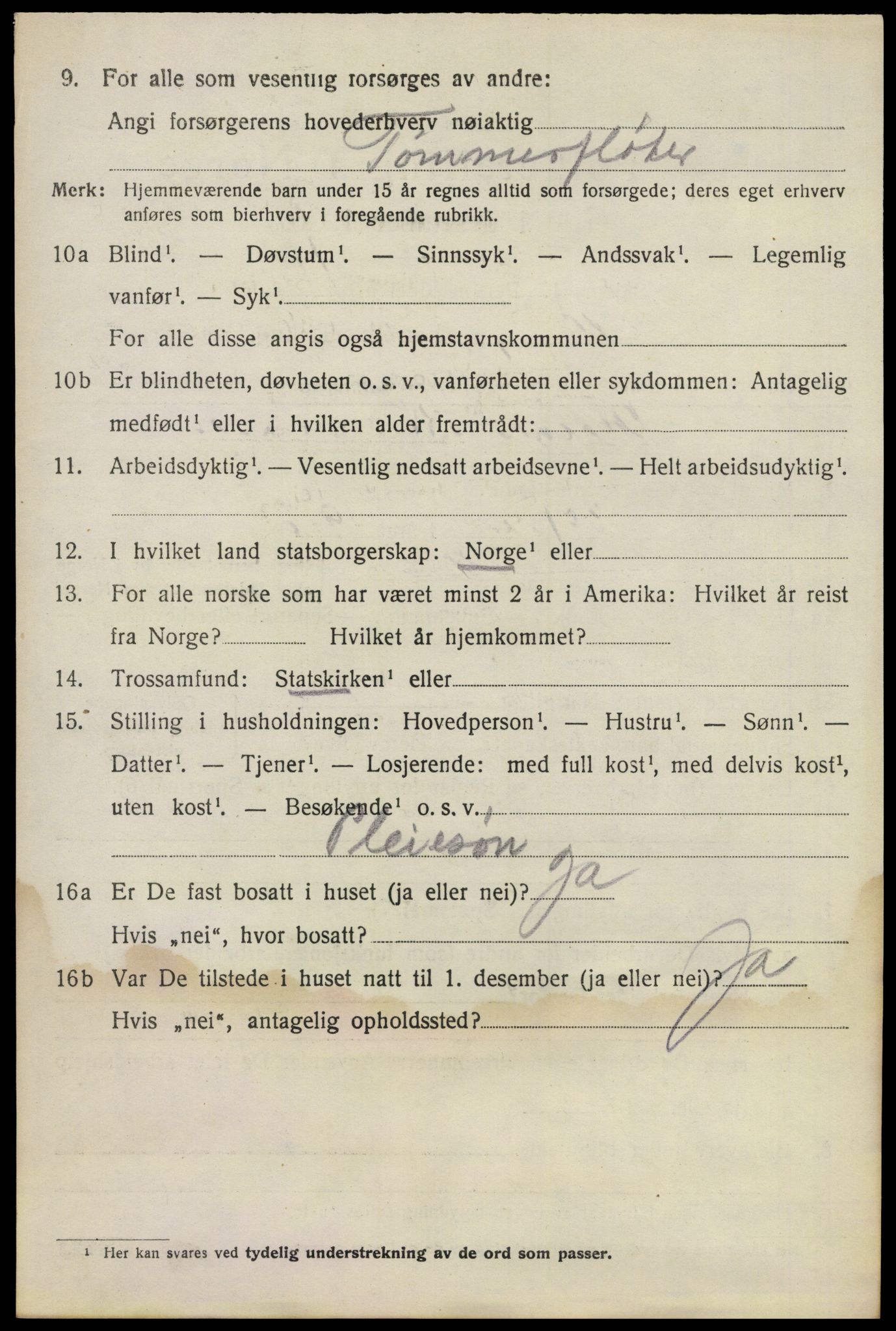 SAO, 1920 census for Fet, 1920, p. 2933