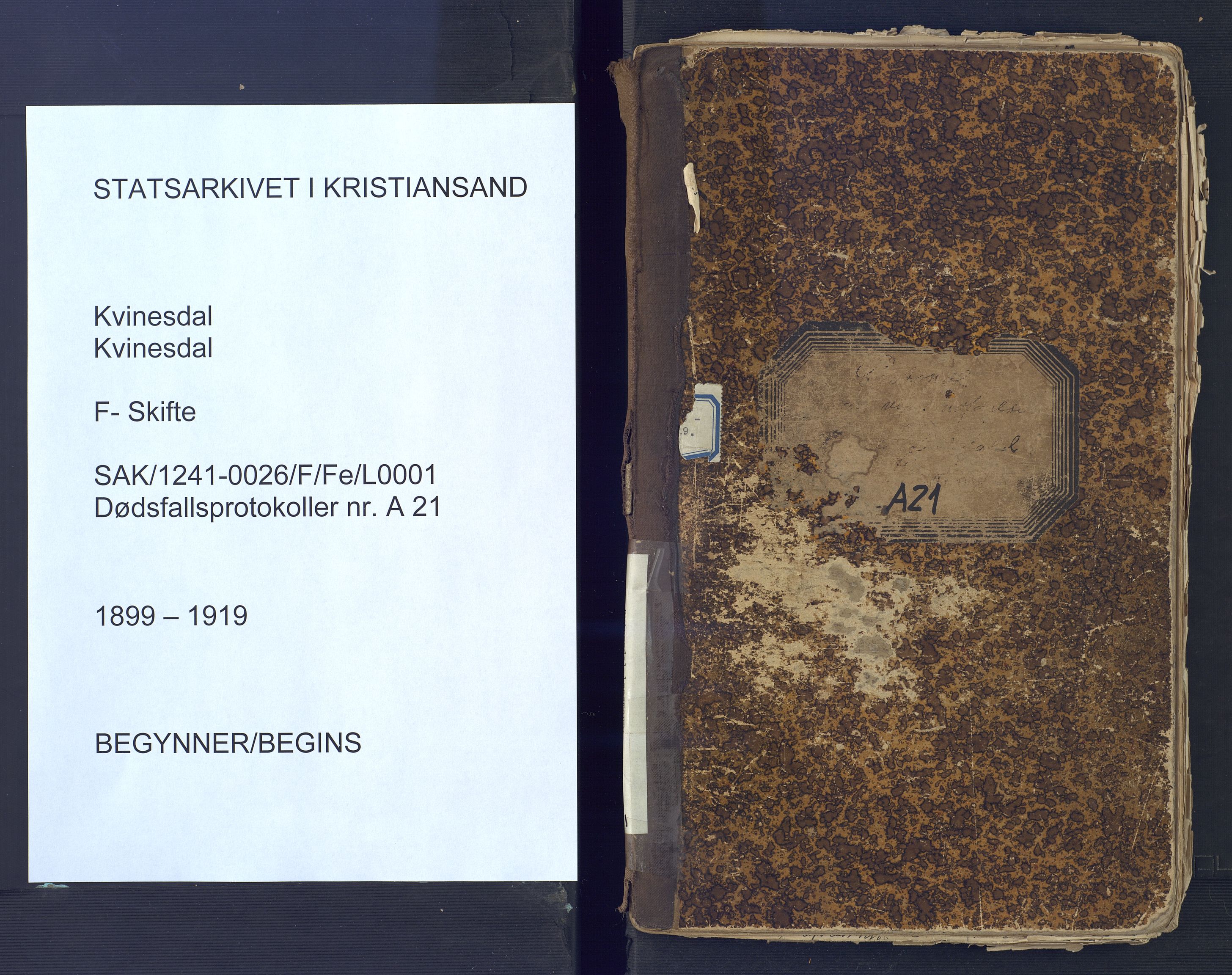 Kvinesdal lensmannskontor, AV/SAK-1241-0026/F/Fe/L0001: Dødsfallsprotokoll nr A21, 1899-1919