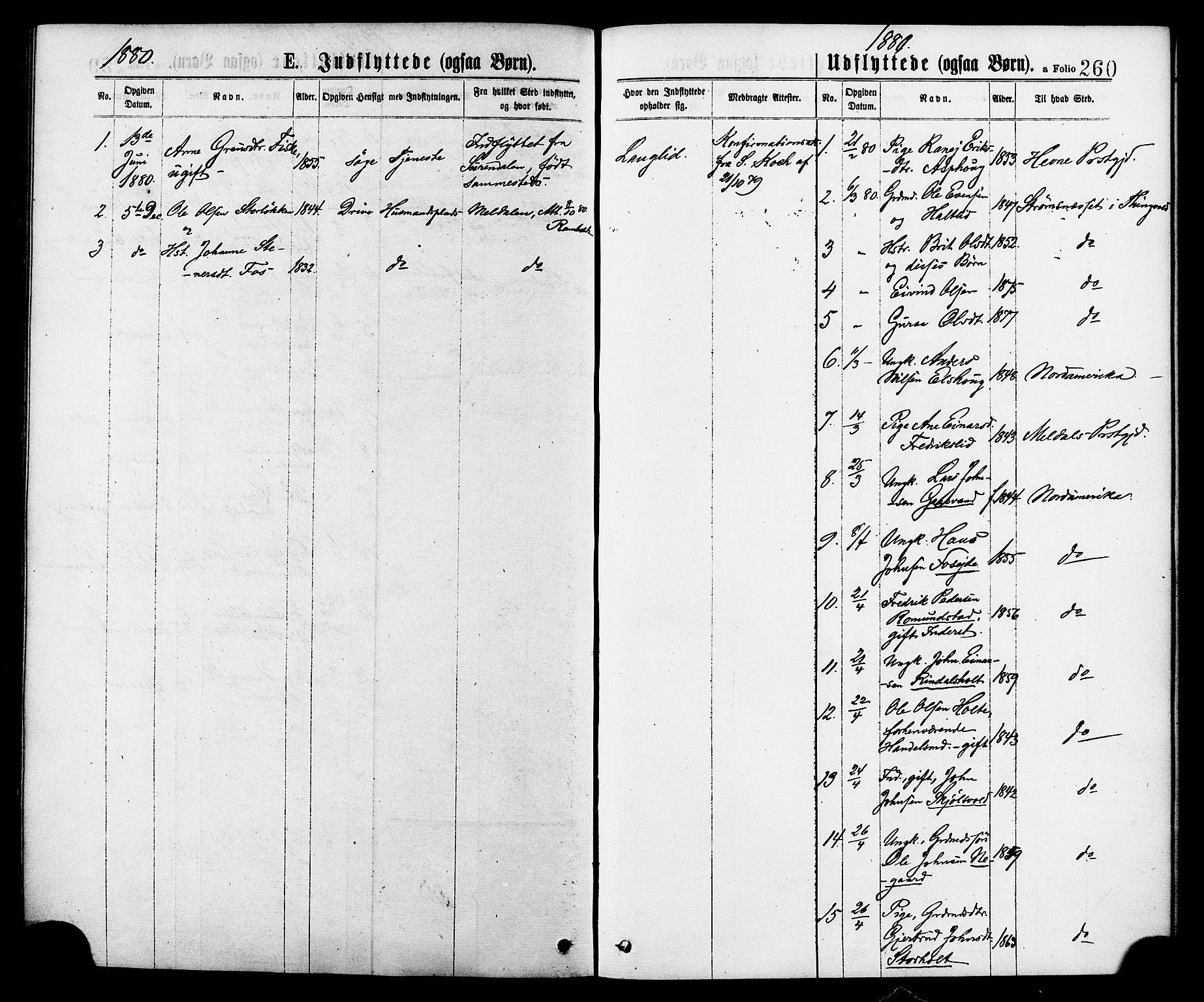 Ministerialprotokoller, klokkerbøker og fødselsregistre - Møre og Romsdal, AV/SAT-A-1454/598/L1068: Parish register (official) no. 598A02, 1872-1881, p. 260