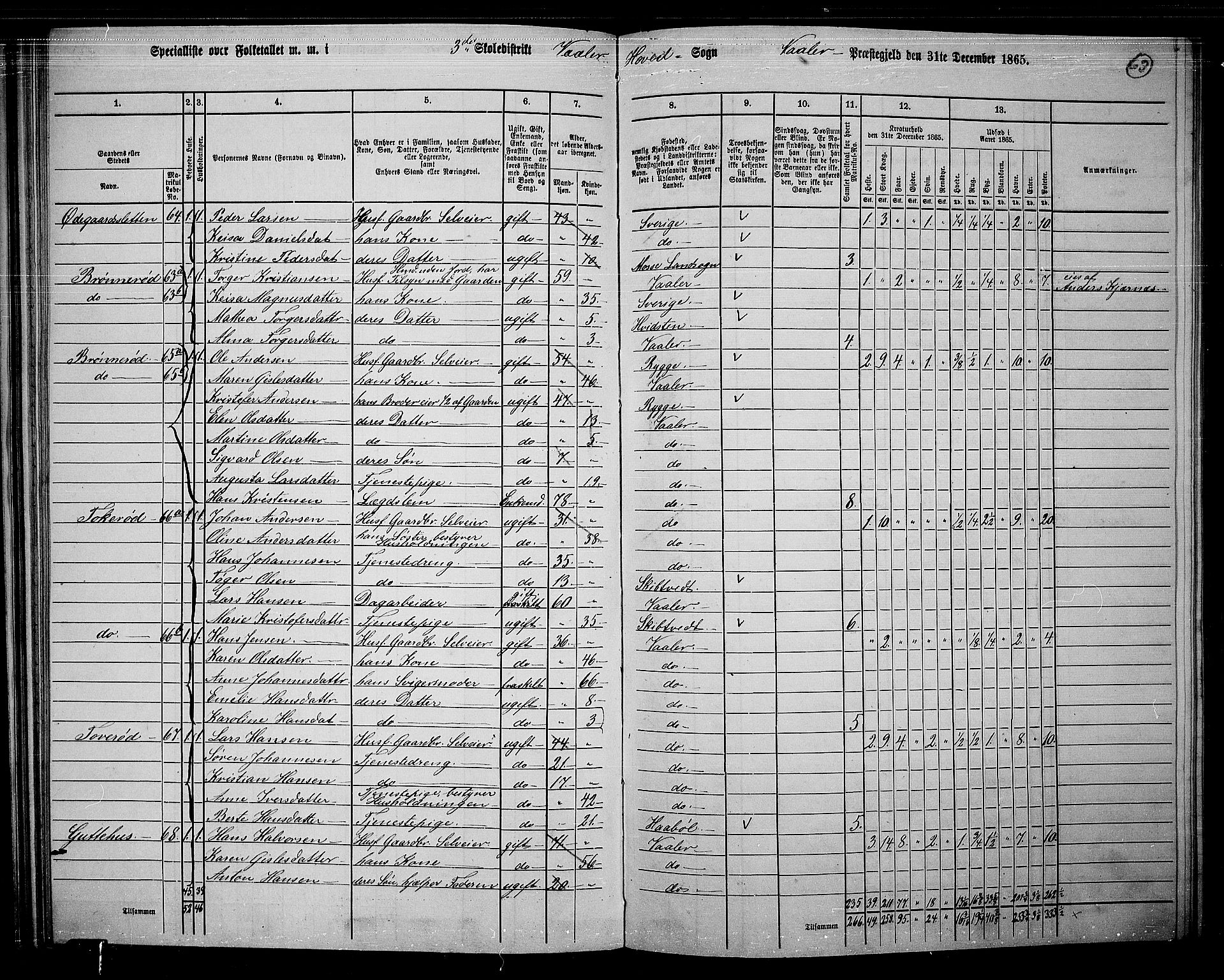 RA, 1865 census for Våler, 1865, p. 58