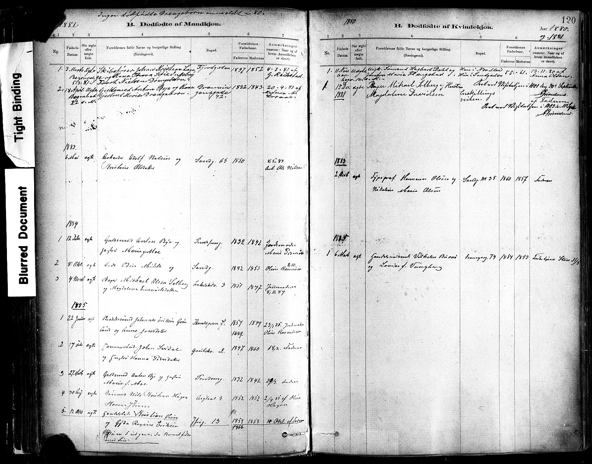 Ministerialprotokoller, klokkerbøker og fødselsregistre - Sør-Trøndelag, SAT/A-1456/602/L0119: Parish register (official) no. 602A17, 1880-1901, p. 120