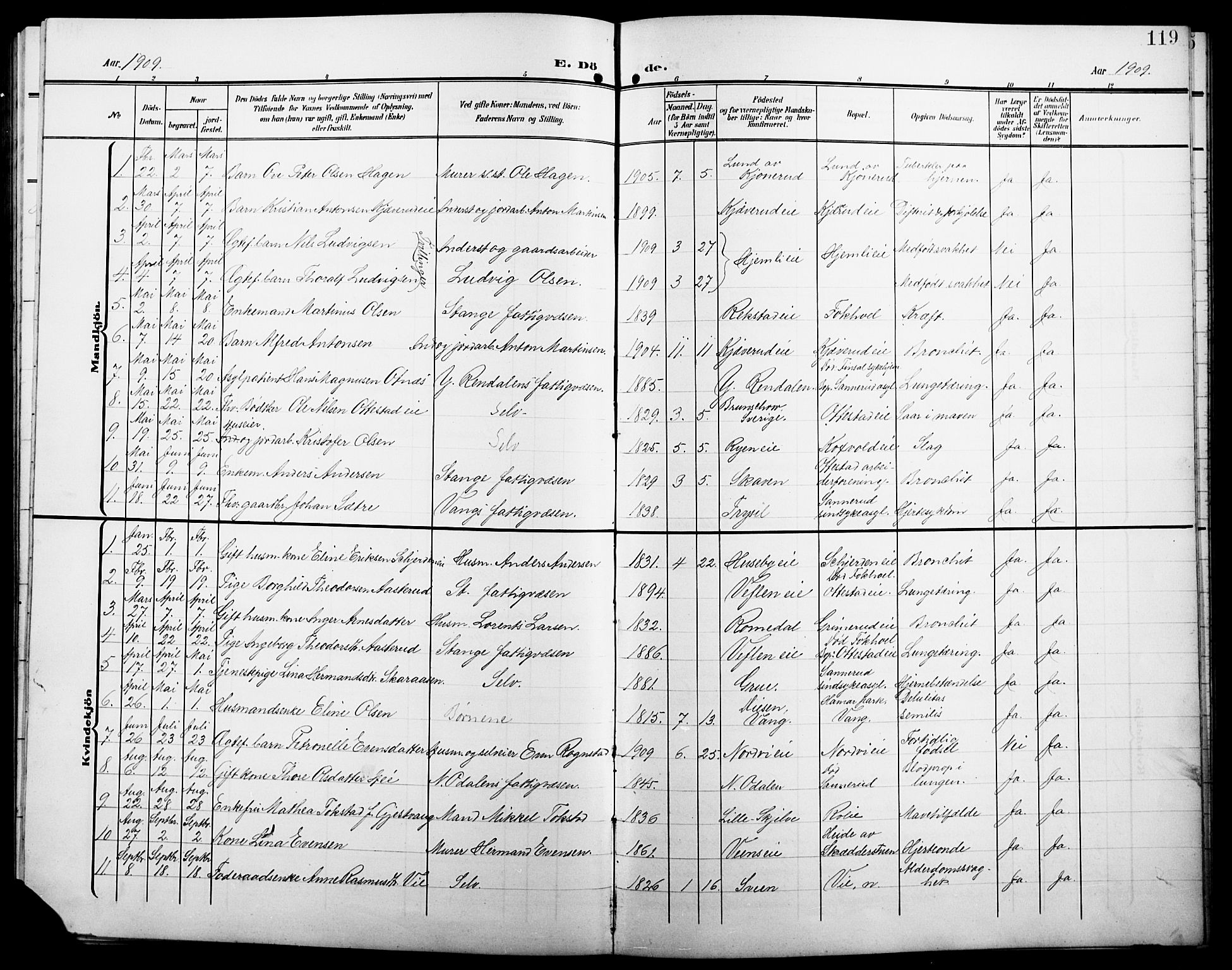 Stange prestekontor, SAH/PREST-002/L/L0013: Parish register (copy) no. 13, 1906-1915, p. 119