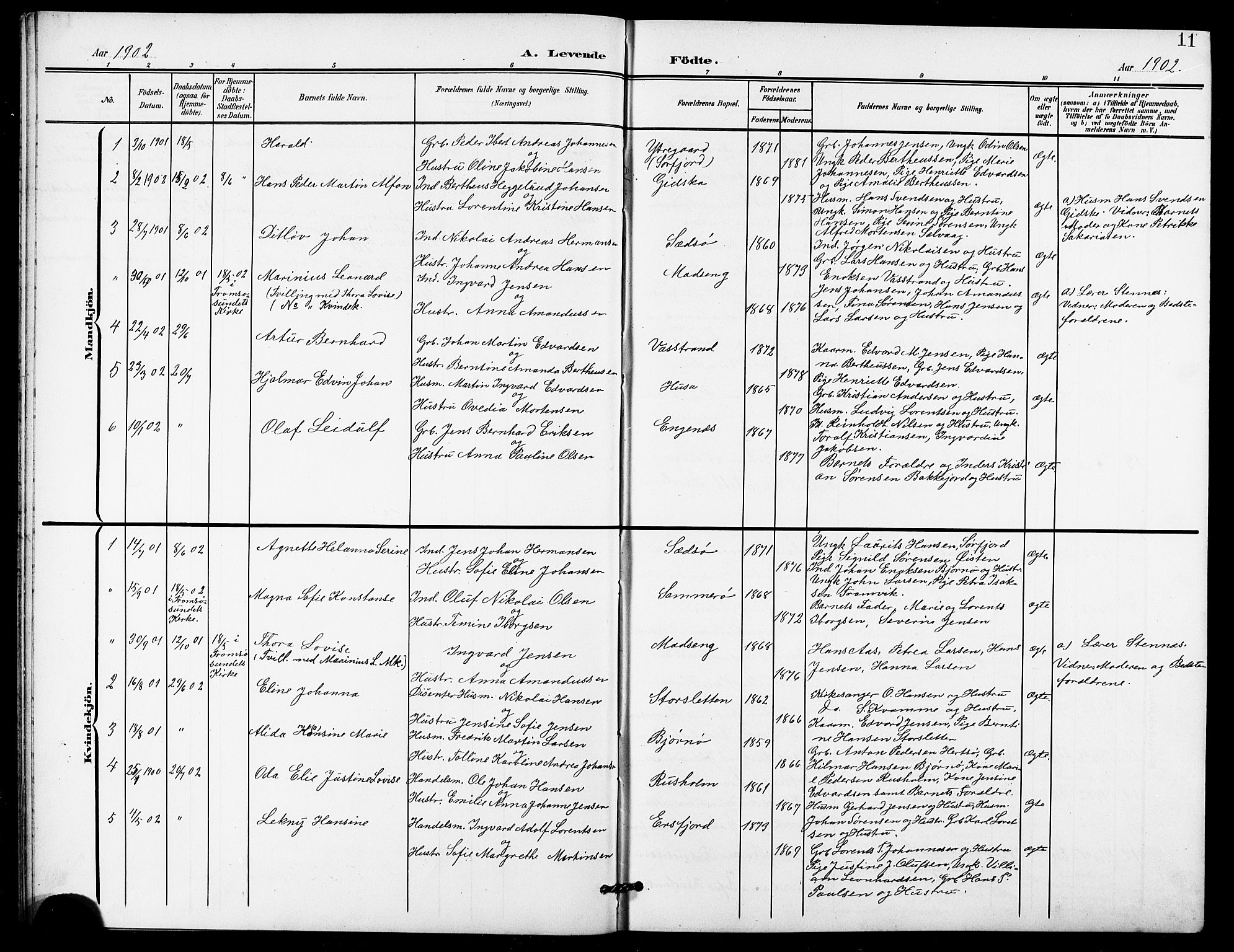 Lenvik sokneprestembete, SATØ/S-1310/H/Ha/Hab/L0022klokker: Parish register (copy) no. 22, 1901-1918, p. 11