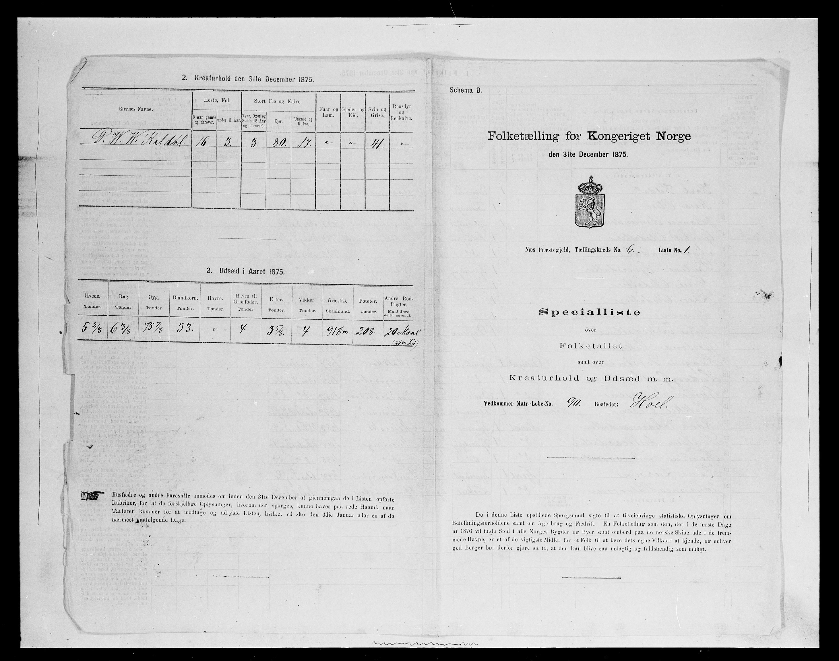 SAH, 1875 census for 0411P Nes, 1875, p. 948
