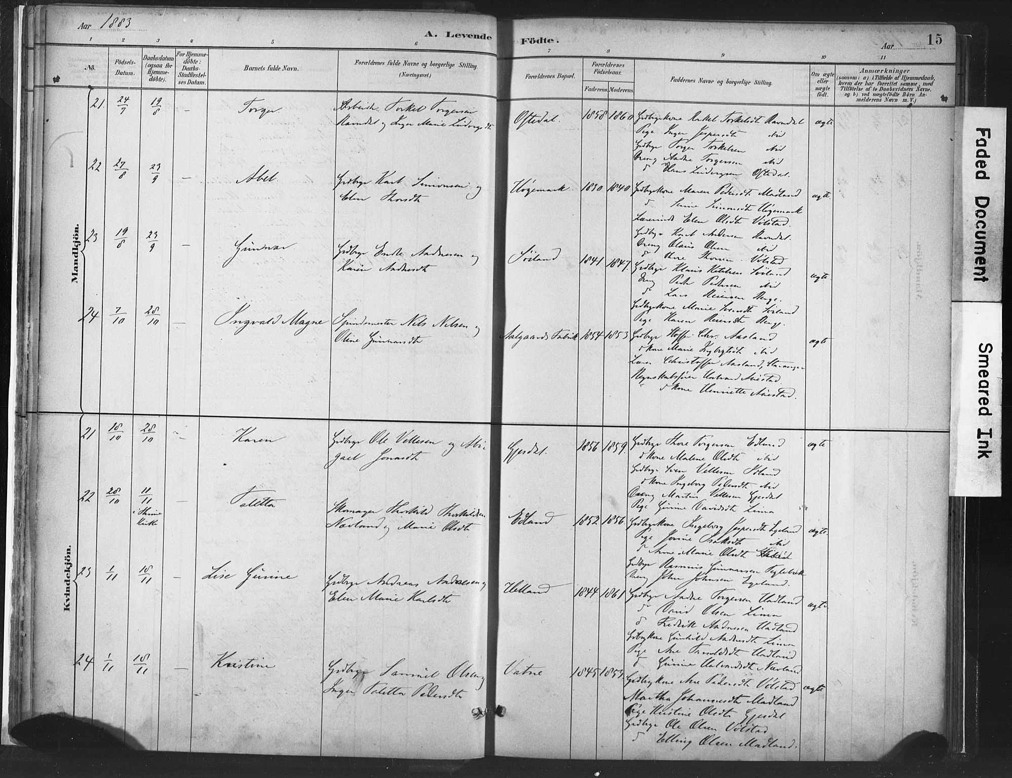 Lye sokneprestkontor, AV/SAST-A-101794/001/30BA/L0010: Parish register (official) no. A 10, 1881-1896, p. 15