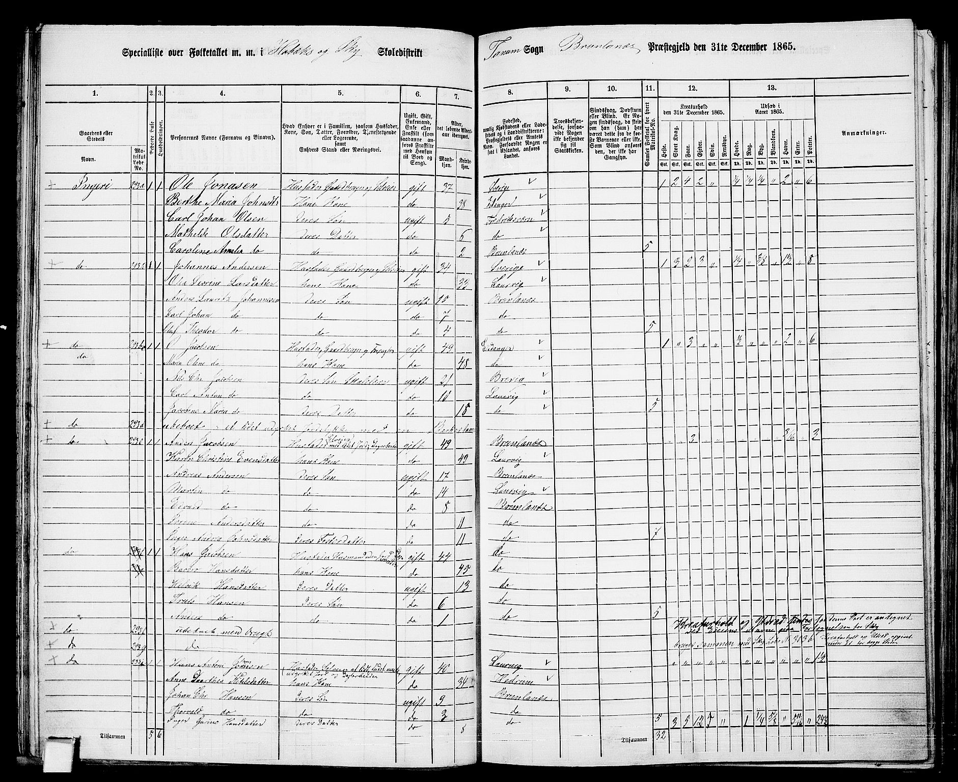 RA, 1865 census for Brunlanes, 1865, p. 36