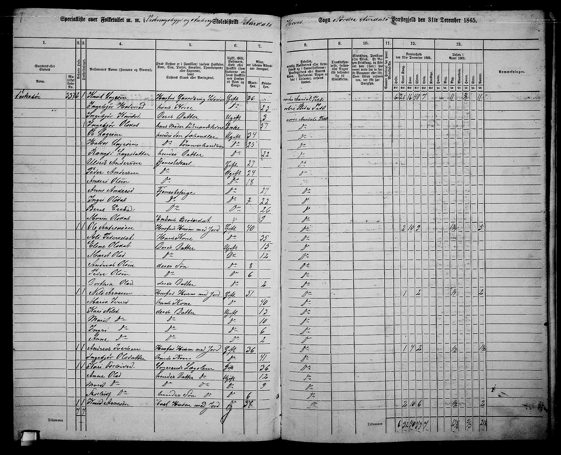 RA, 1865 census for Nord-Aurdal, 1865, p. 214