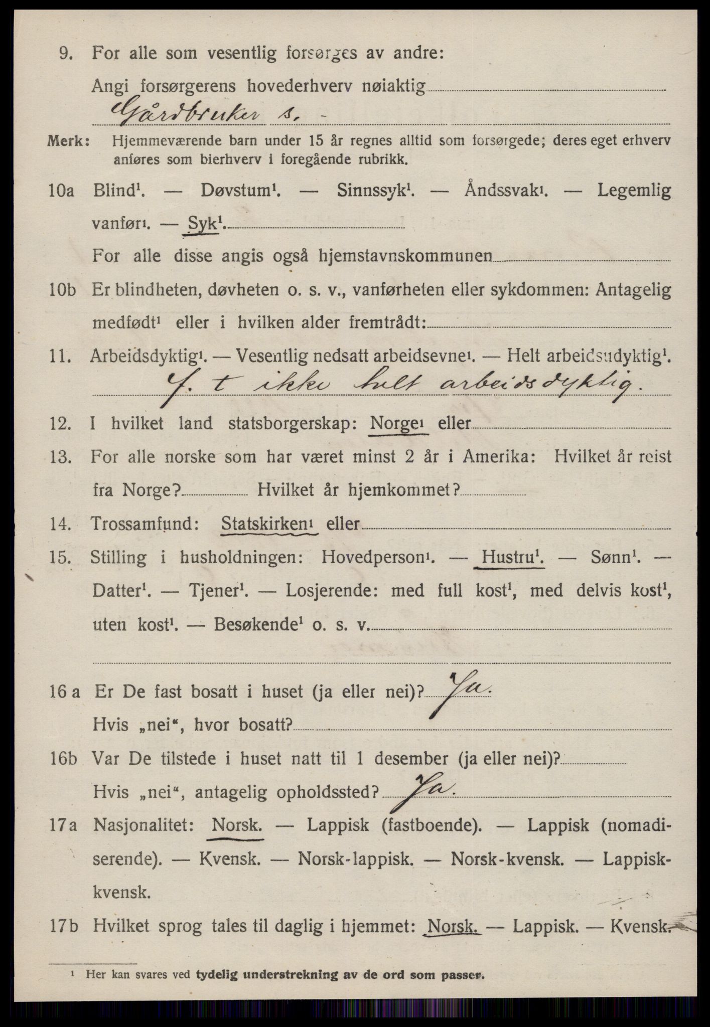 SAT, 1920 census for Rennebu, 1920, p. 1061