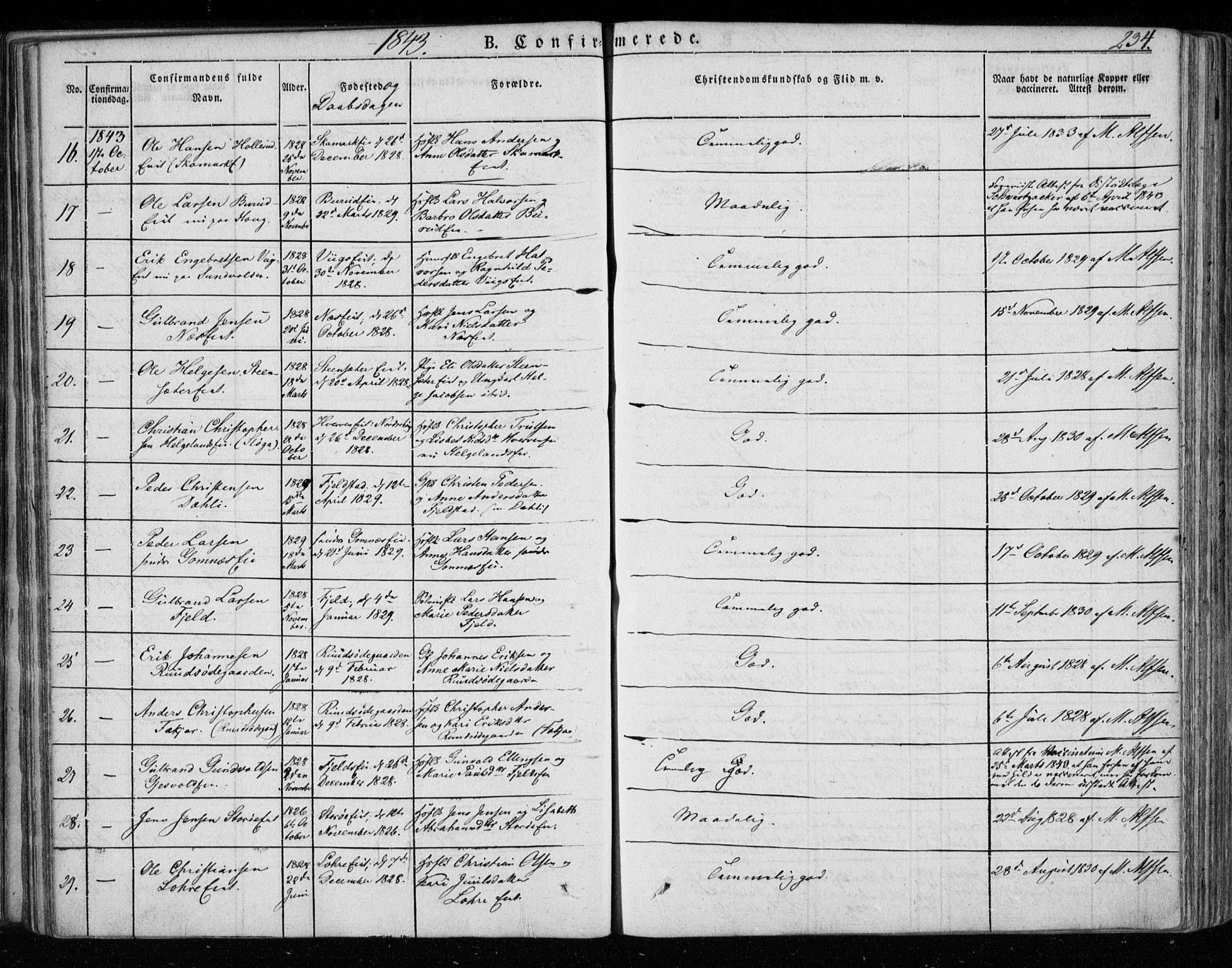 Hole kirkebøker, SAKO/A-228/F/Fa/L0005: Parish register (official) no. I 5, 1833-1851, p. 234
