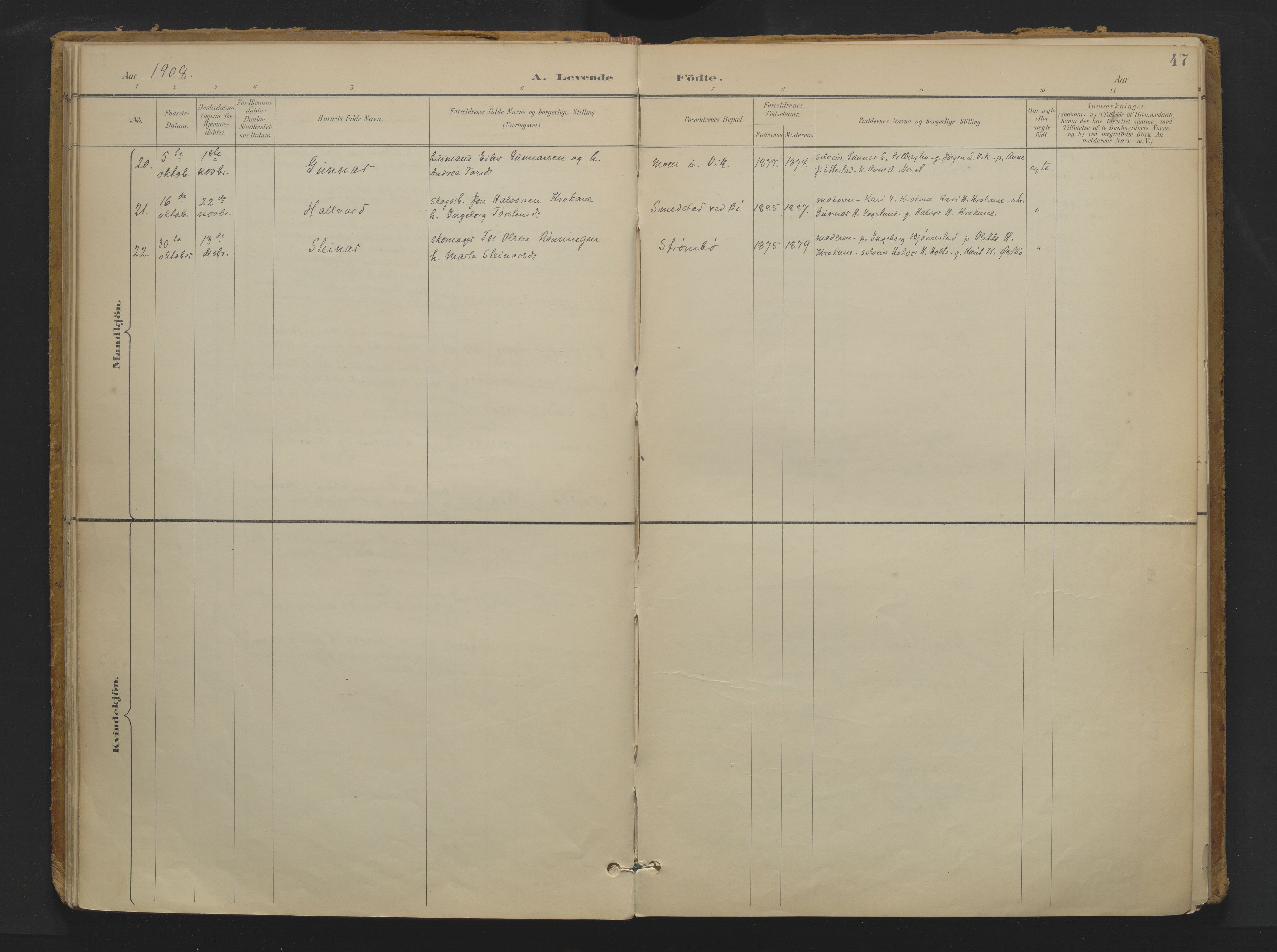 Drangedal kirkebøker, SAKO/A-258/F/Fa/L0013: Parish register (official) no. 13, 1895-1919, p. 47