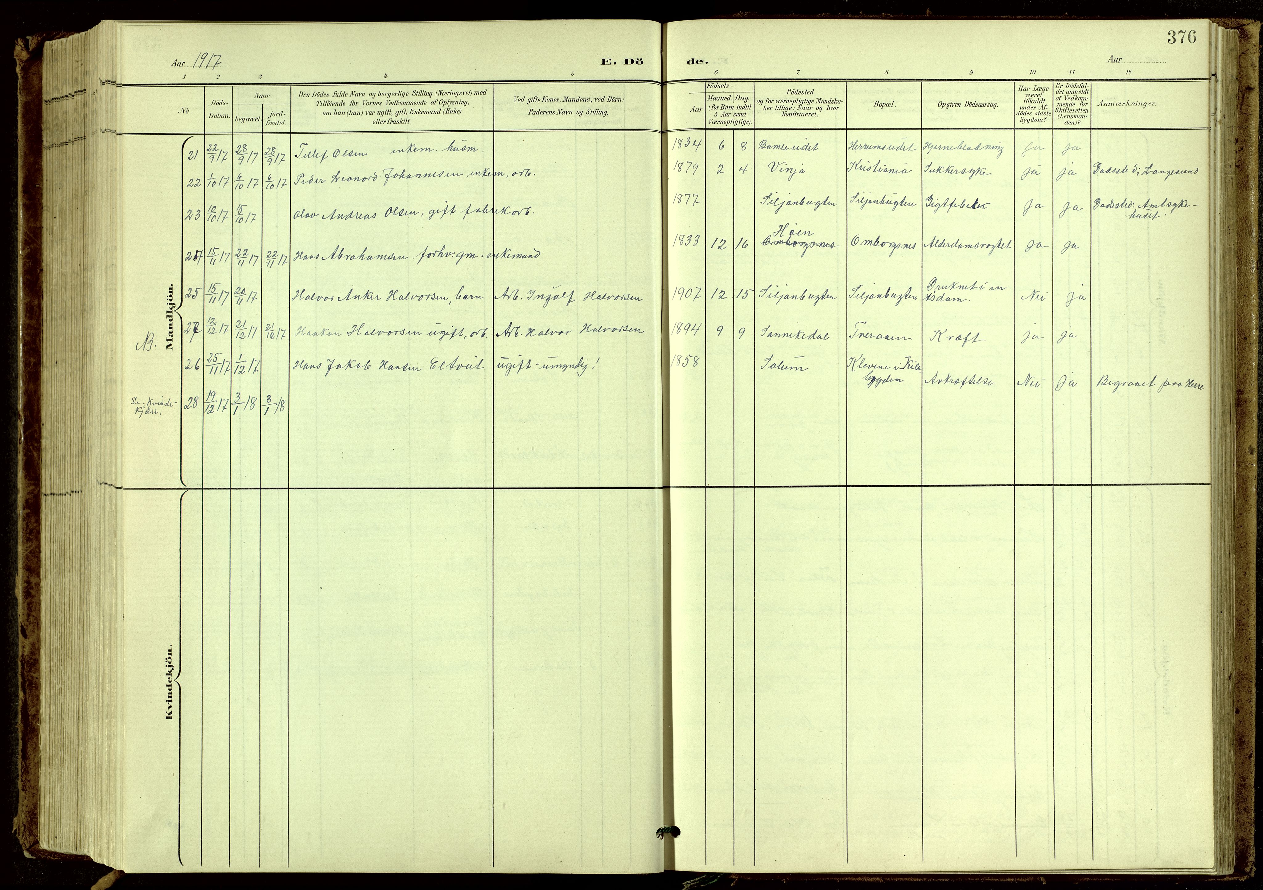 Bamble kirkebøker, SAKO/A-253/G/Ga/L0010: Parish register (copy) no. I 10, 1901-1919, p. 376