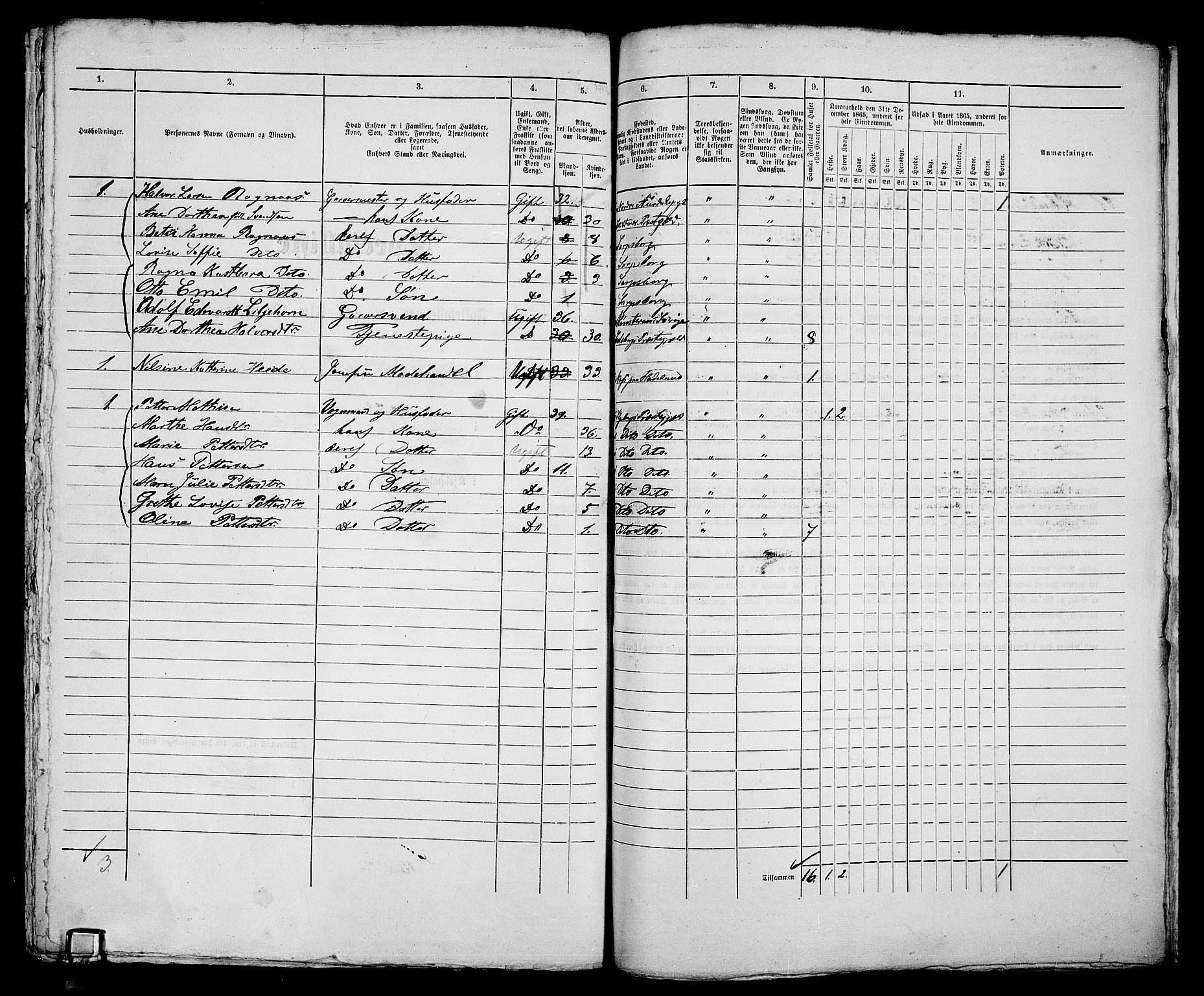 RA, 1865 census for Sarpsborg, 1865, p. 466