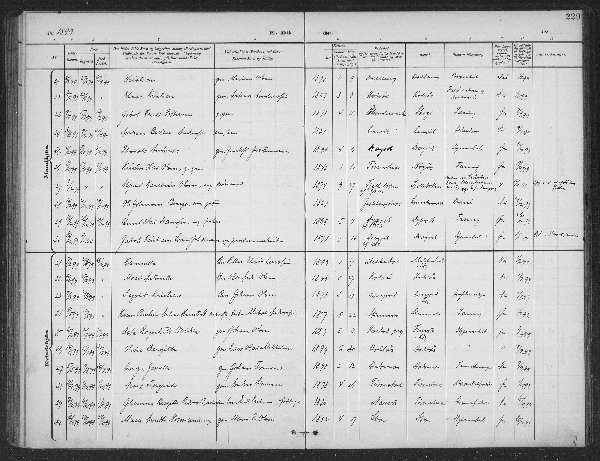 Ministerialprotokoller, klokkerbøker og fødselsregistre - Nordland, SAT/A-1459/863/L0899: Parish register (official) no. 863A11, 1897-1906, p. 229