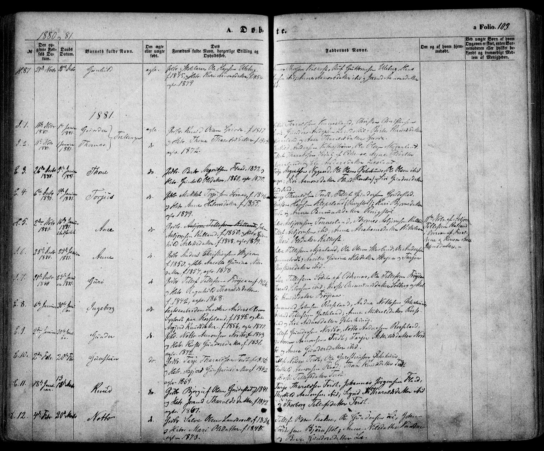 Evje sokneprestkontor, SAK/1111-0008/F/Fa/Faa/L0006: Parish register (official) no. A 6, 1866-1884, p. 103
