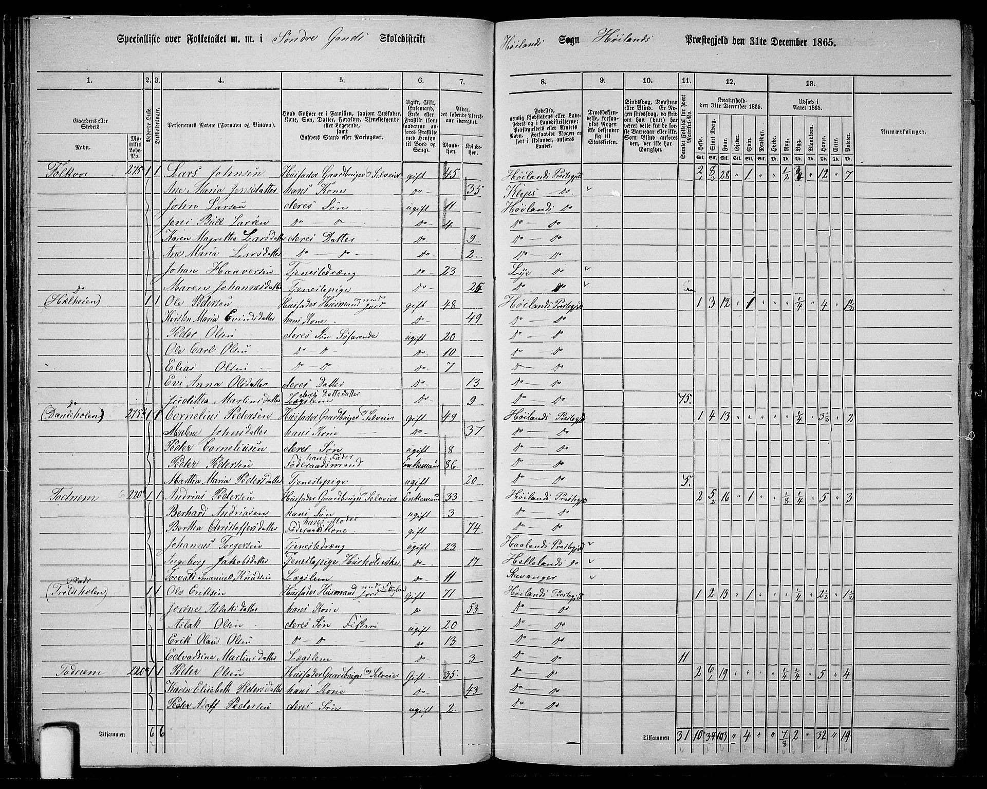 RA, 1865 census for Høyland, 1865, p. 46