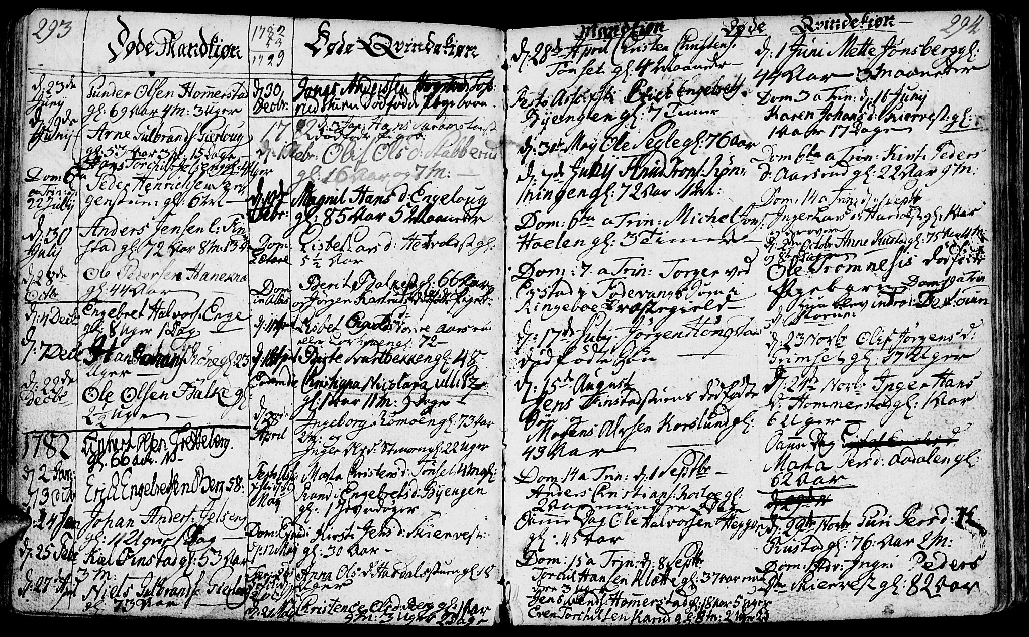 Løten prestekontor, SAH/PREST-022/K/Ka/L0003: Parish register (official) no. 3, 1773-1800, p. 293-294