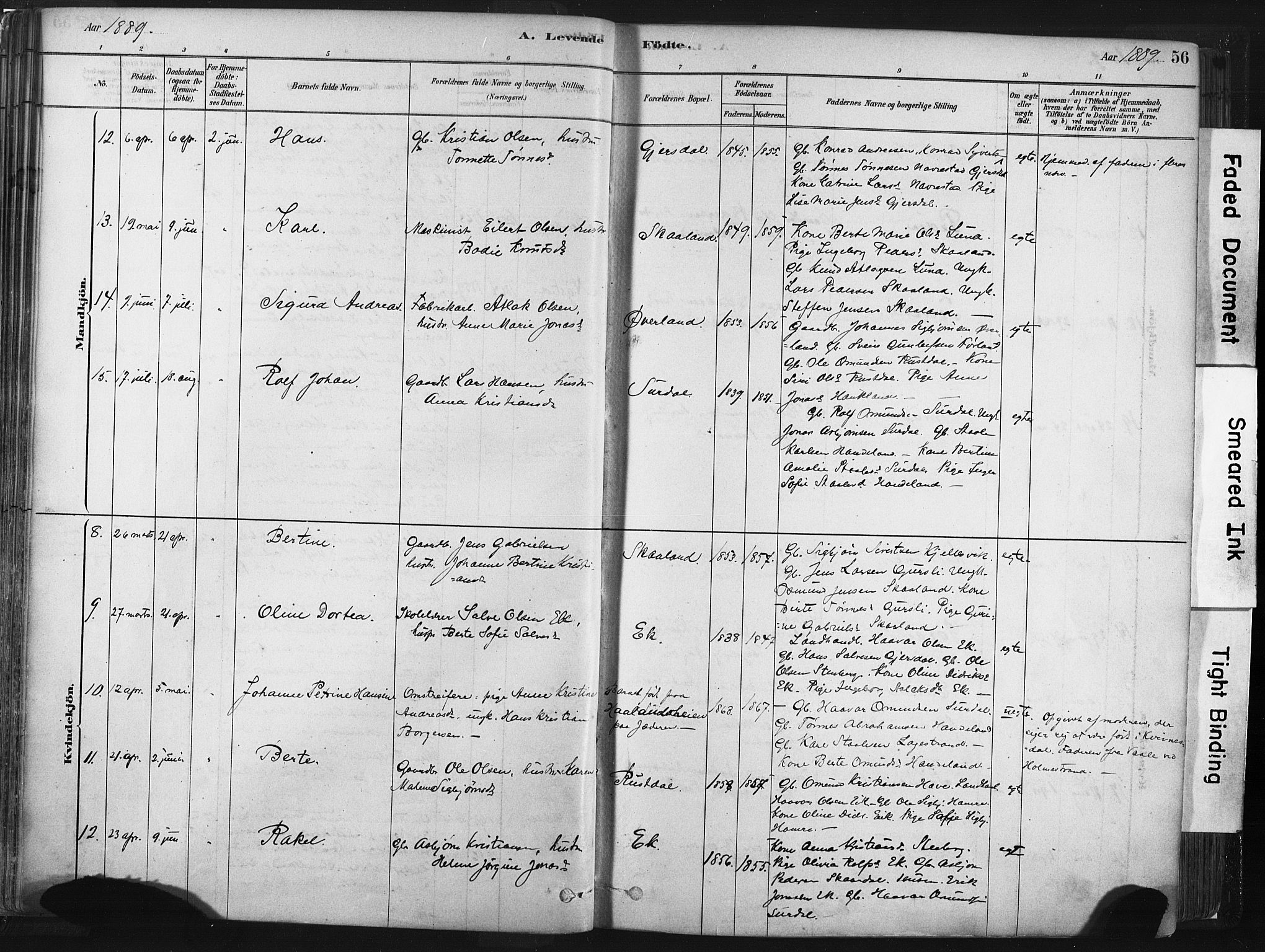 Lund sokneprestkontor, SAST/A-101809/S06/L0011: Parish register (official) no. A 10, 1877-1904, p. 56