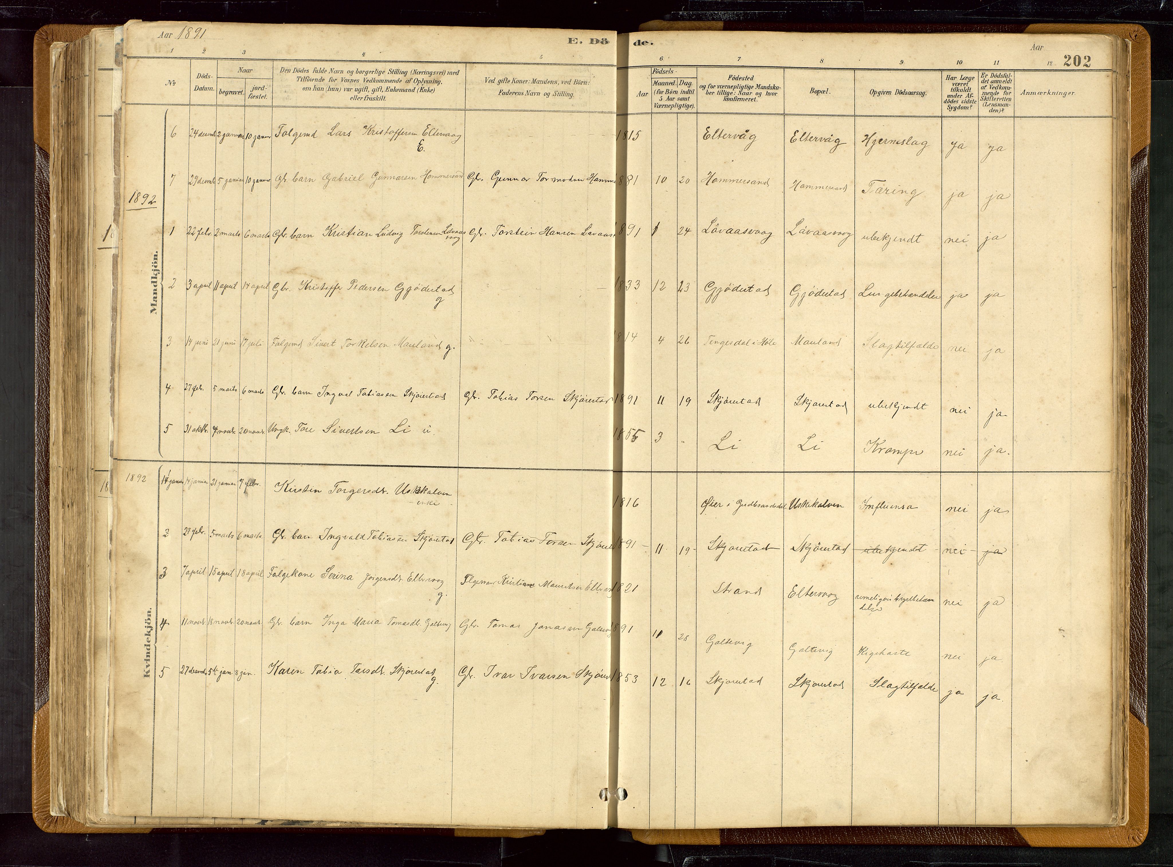 Hetland sokneprestkontor, SAST/A-101826/30/30BB/L0007: Parish register (copy) no. B 7, 1878-1910, p. 202