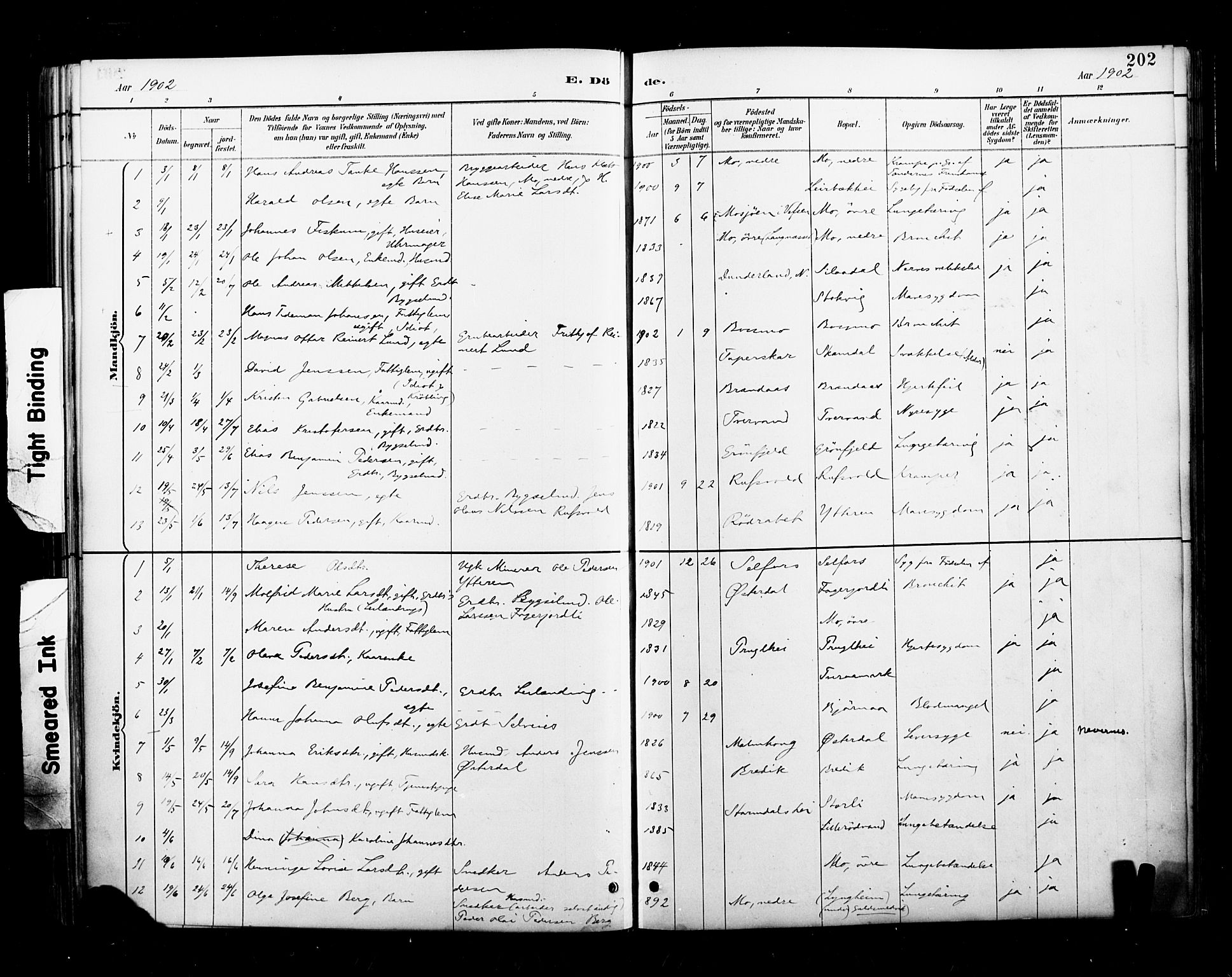 Ministerialprotokoller, klokkerbøker og fødselsregistre - Nordland, AV/SAT-A-1459/827/L0401: Parish register (official) no. 827A13, 1887-1905, p. 202