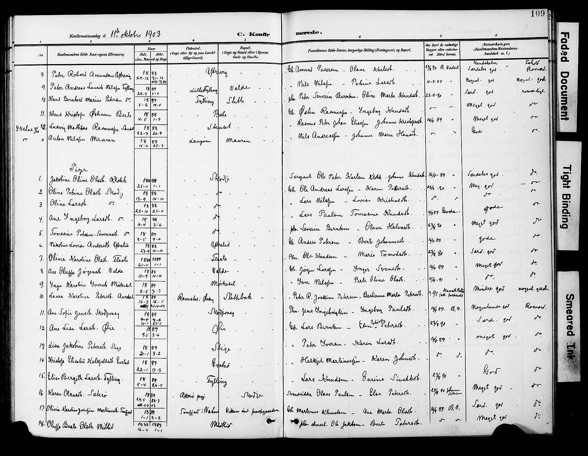 Ministerialprotokoller, klokkerbøker og fødselsregistre - Møre og Romsdal, AV/SAT-A-1454/524/L0366: Parish register (copy) no. 524C07, 1900-1931, p. 109