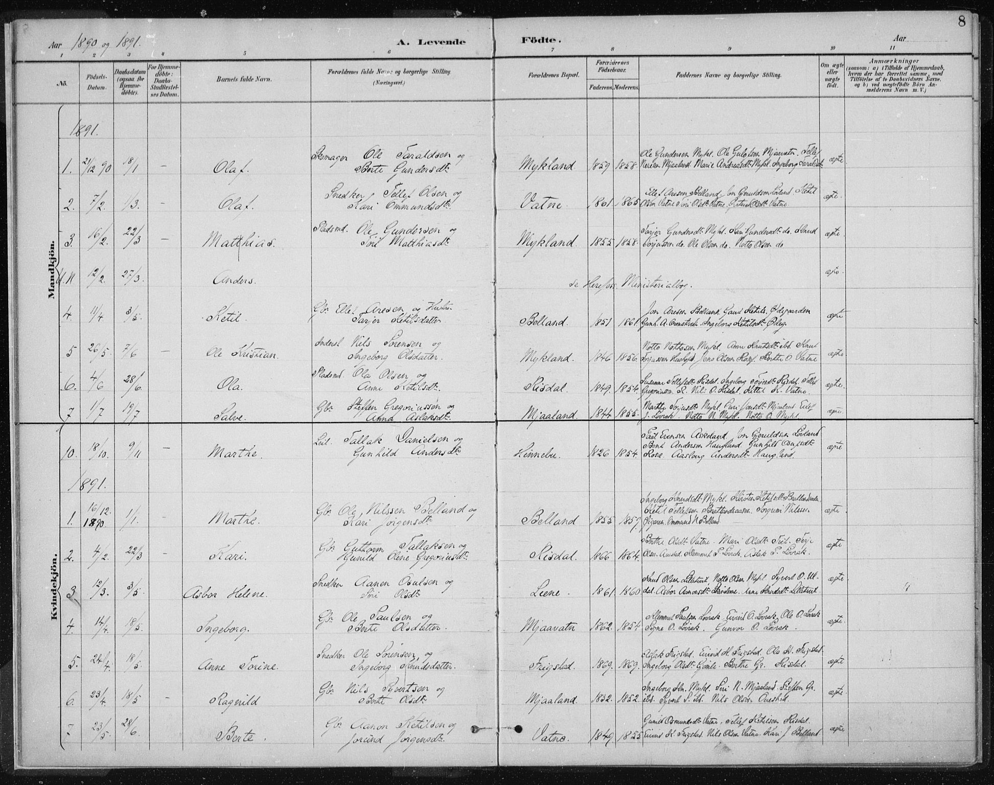 Herefoss sokneprestkontor, SAK/1111-0019/F/Fa/Fac/L0002: Parish register (official) no. A 2, 1887-1915, p. 8