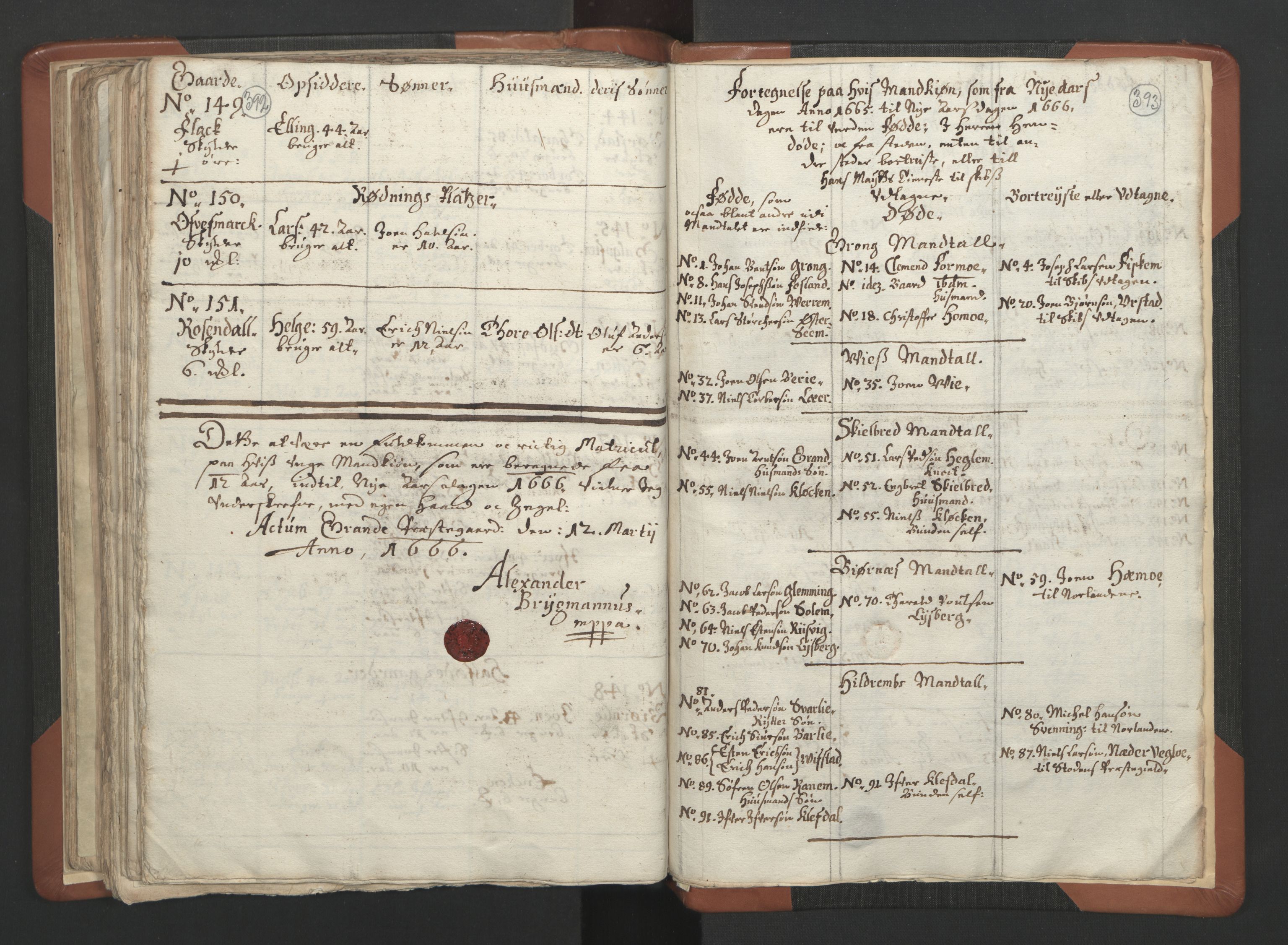 RA, Vicar's Census 1664-1666, no. 34: Namdal deanery, 1664-1666, p. 392-393