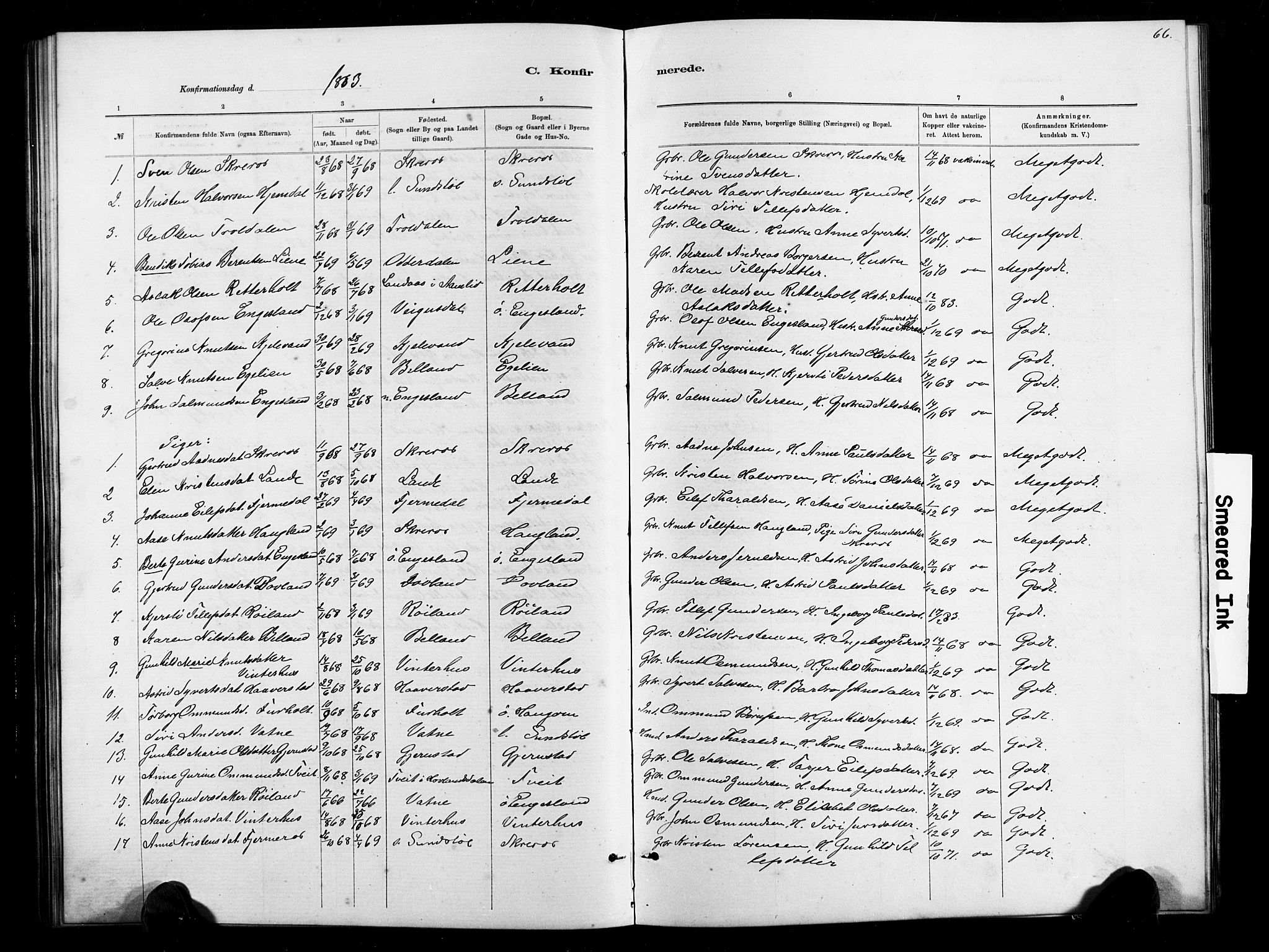 Herefoss sokneprestkontor, AV/SAK-1111-0019/F/Fb/Fbb/L0002: Parish register (copy) no. B 2, 1879-1894, p. 66