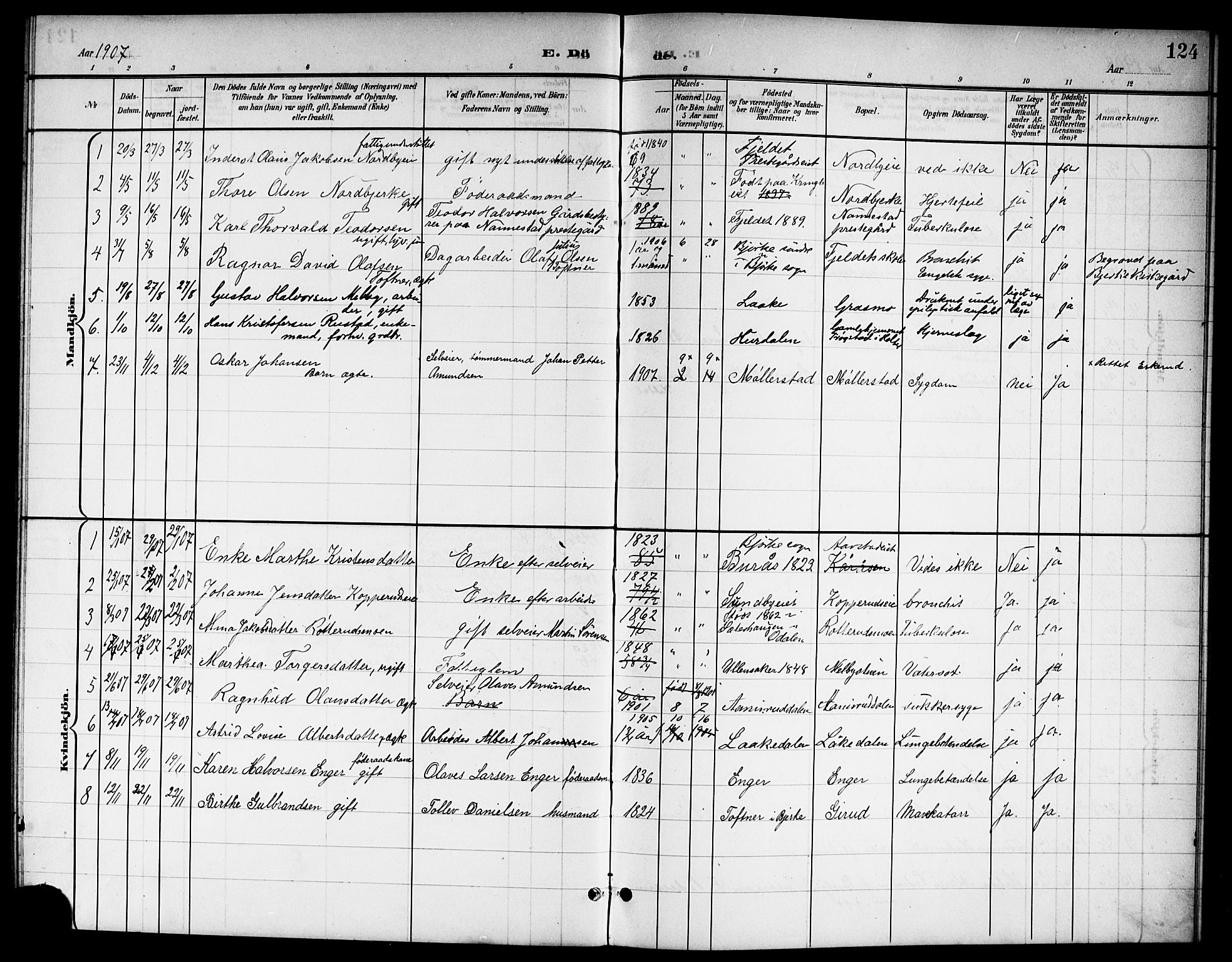 Nannestad prestekontor Kirkebøker, SAO/A-10414a/G/Ga/L0002: Parish register (copy) no. I 2, 1901-1913, p. 124
